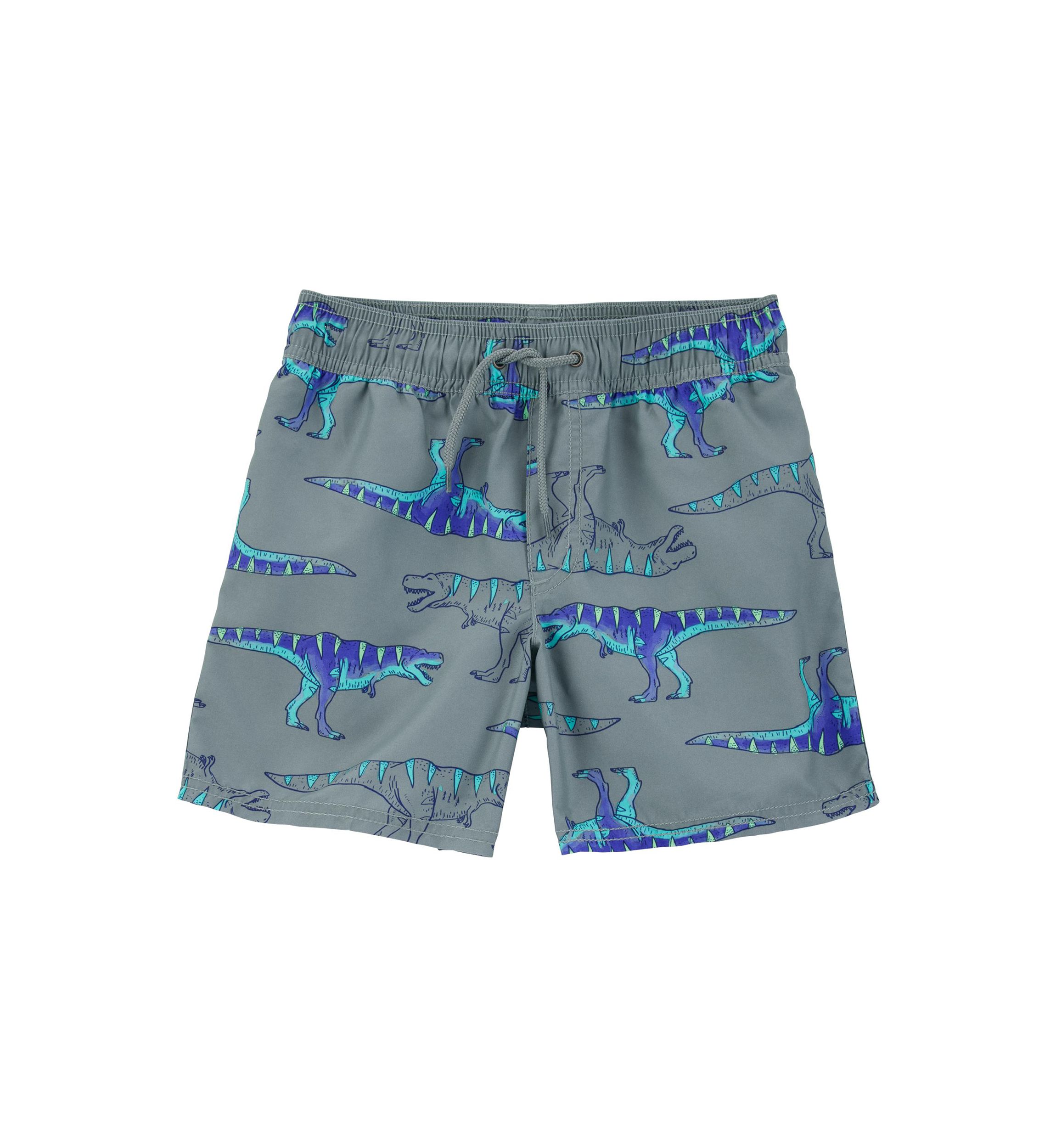 Boys 4-7 Dinosaur Printed Swim Trunks