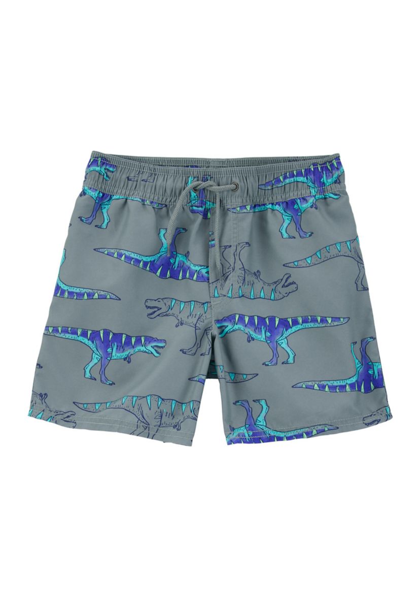 Boys 4-7 Dinosaur Printed Swim Trunks