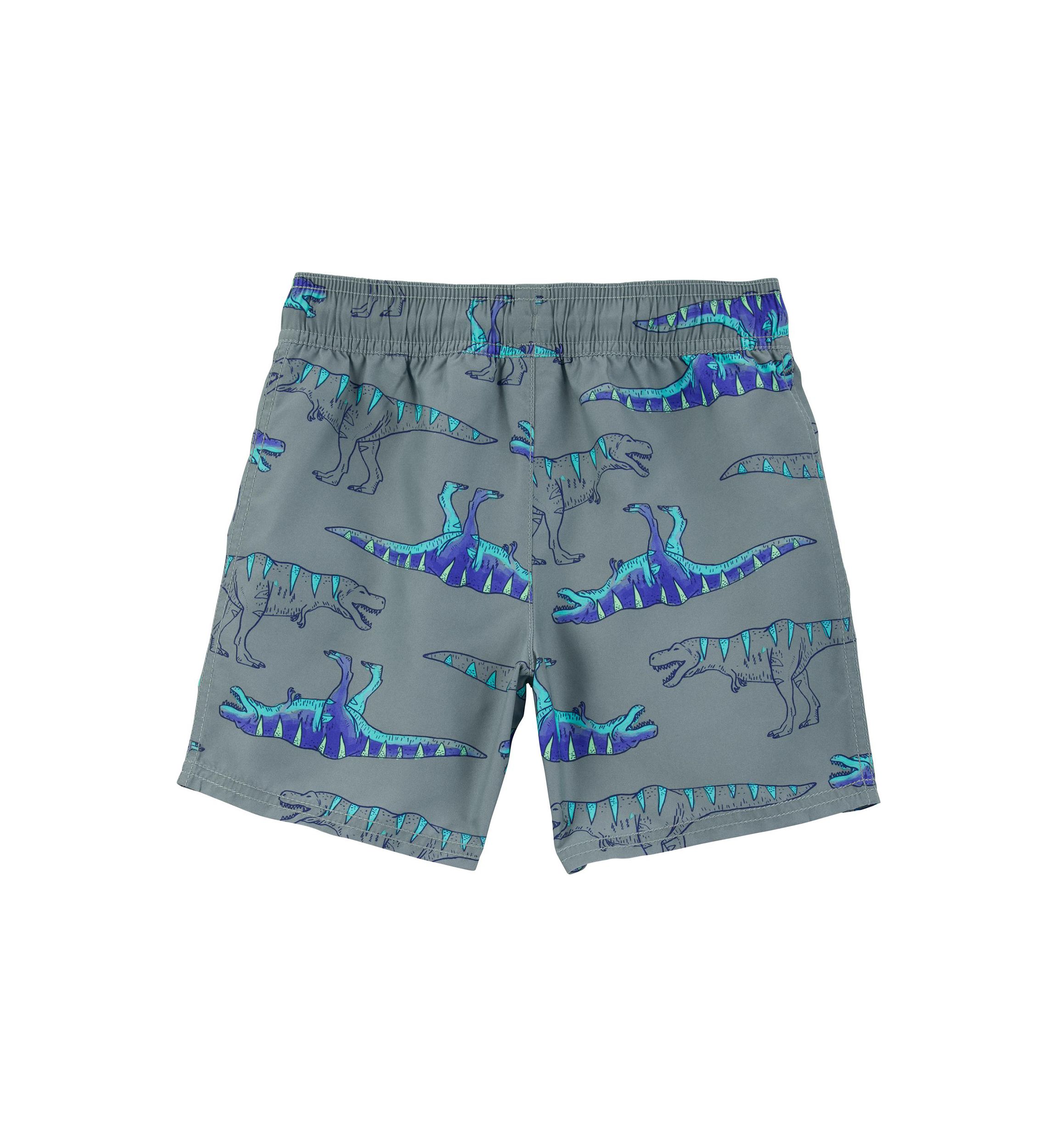 Boys 4-7 Dinosaur Printed Swim Trunks