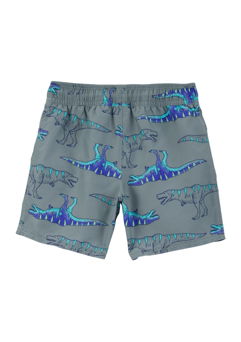 Boys 4-7 Dinosaur Printed Swim Trunks