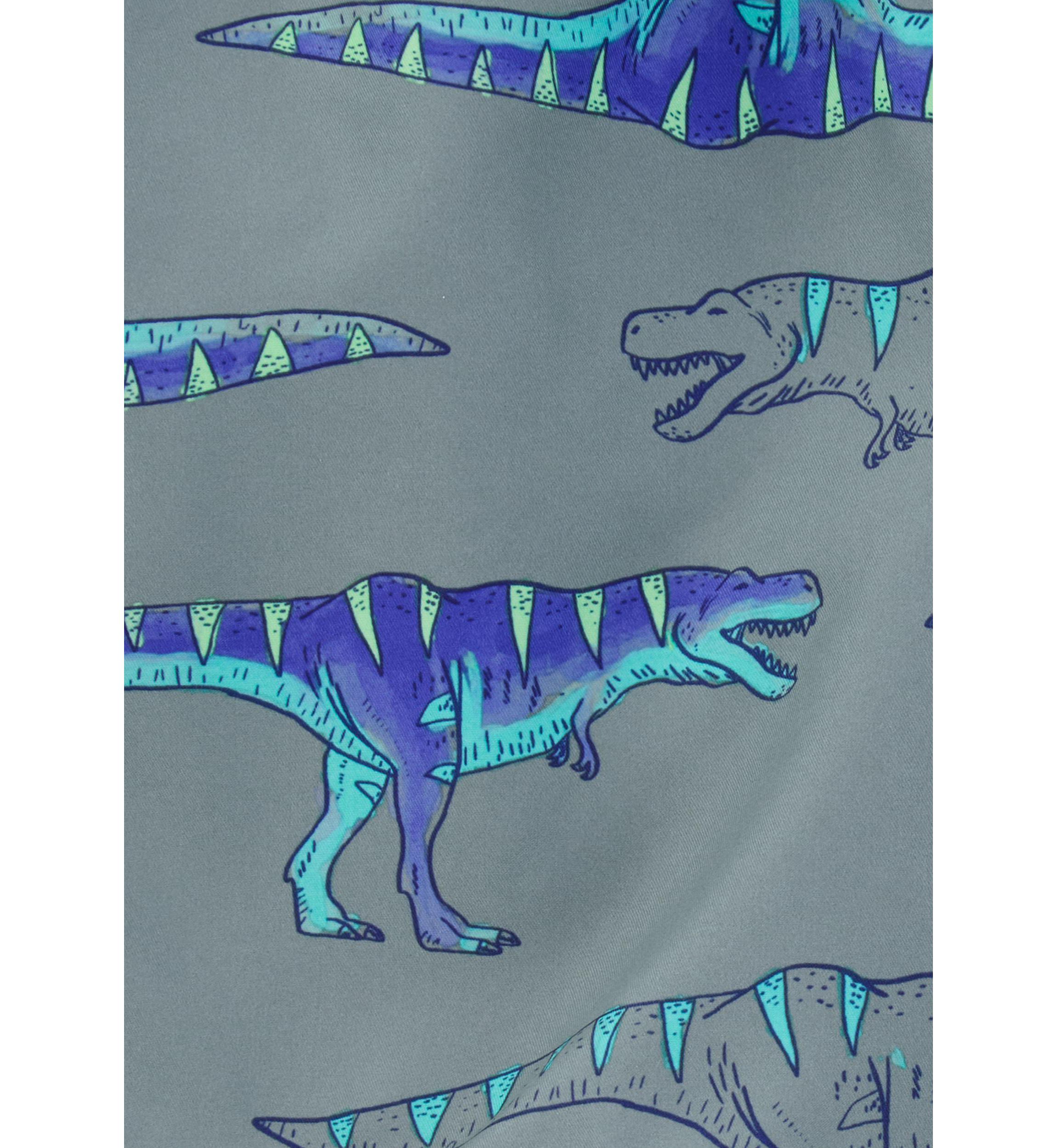 Boys 4-7 Dinosaur Printed Swim Trunks
