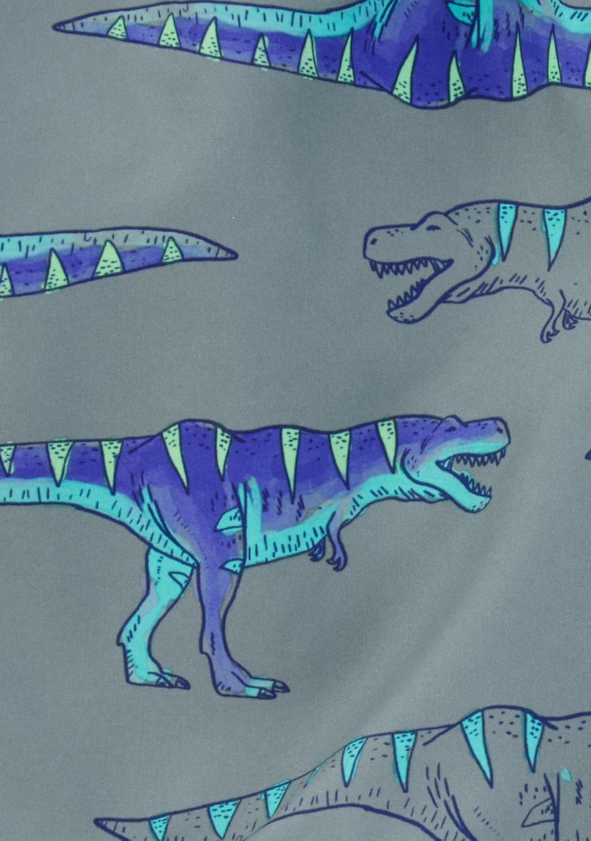 Boys 4-7 Dinosaur Printed Swim Trunks