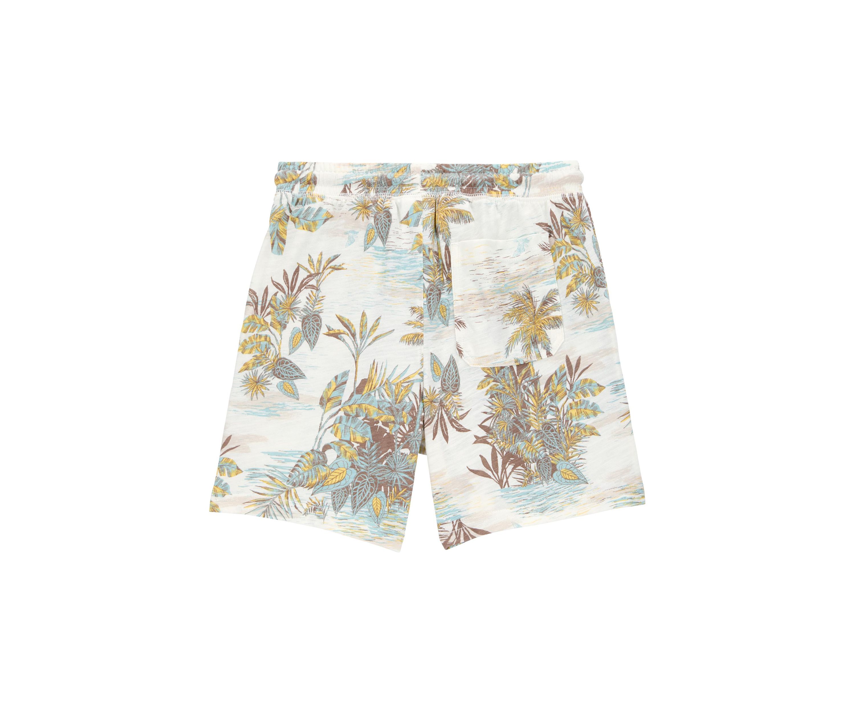 Boys 4-14 Printed Shorts