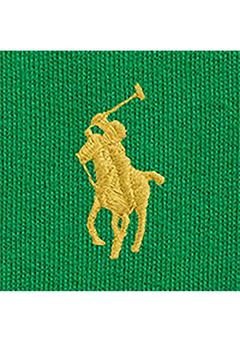 Ralph Lauren Childrenswear Boys 8-20 Big Pony Fleece Full-Zip