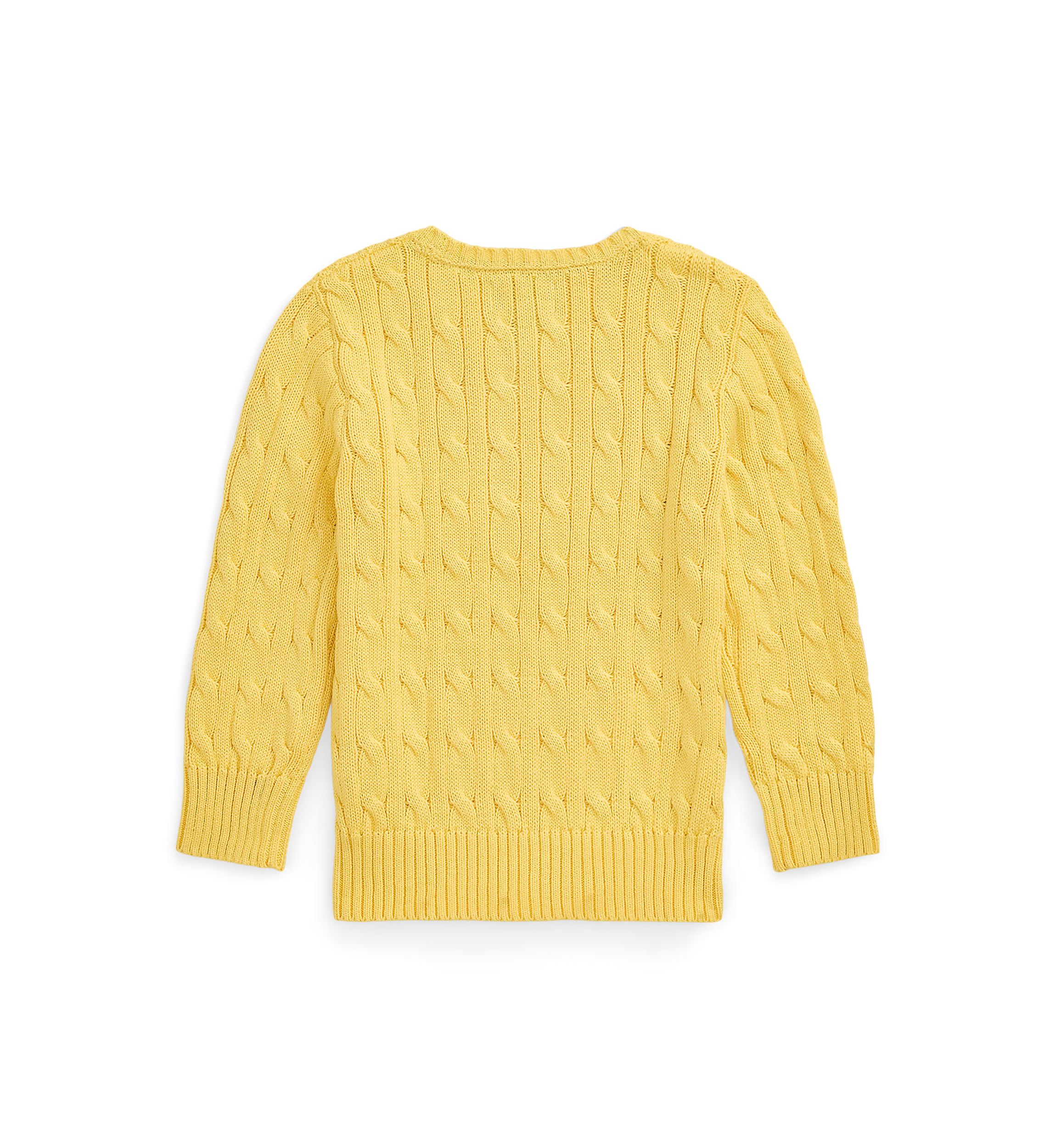 Boys 2-7 Cable Knit Cotton Sweater