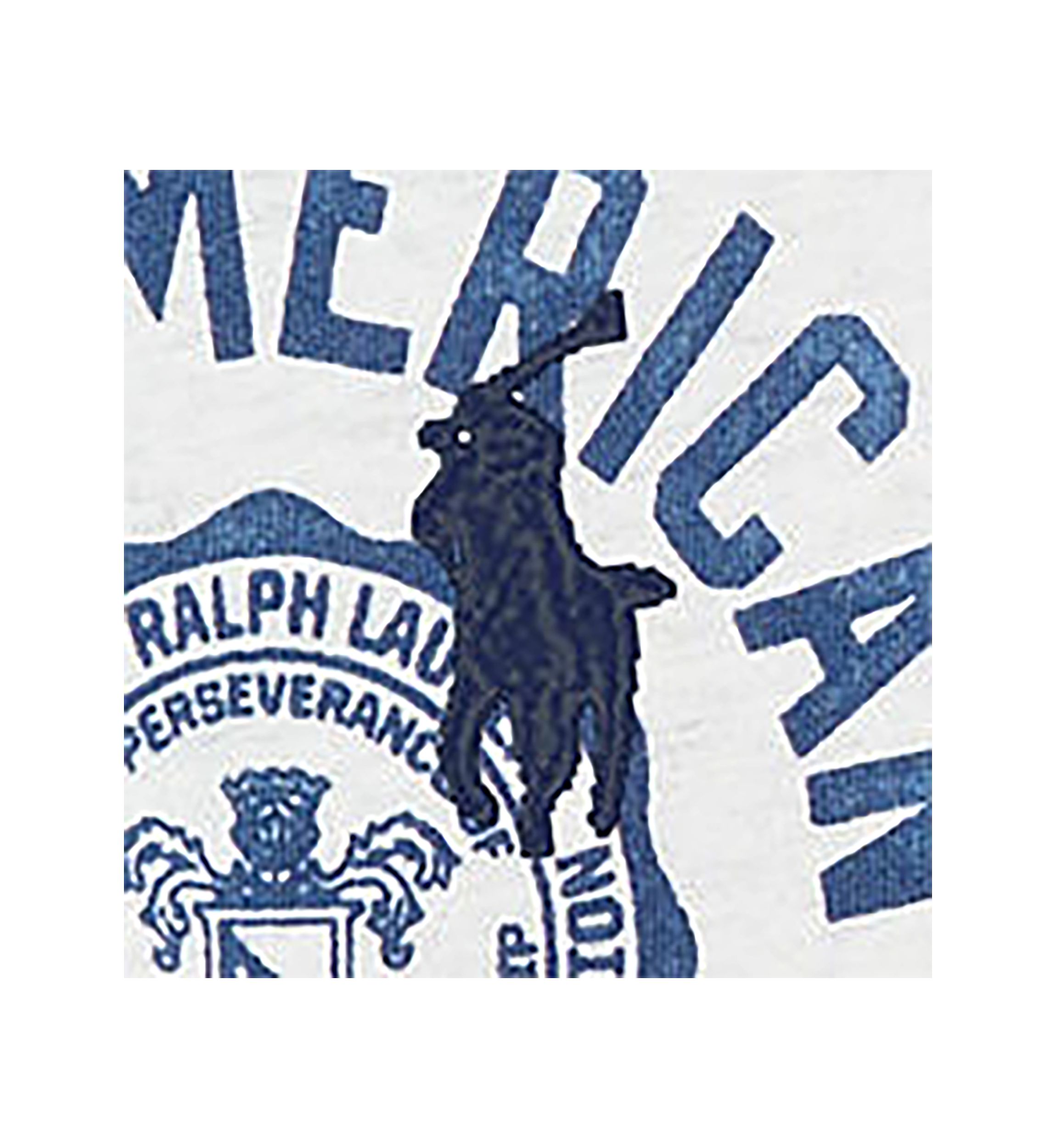 Boys 2-7 Cotton Jersey Graphic Tee