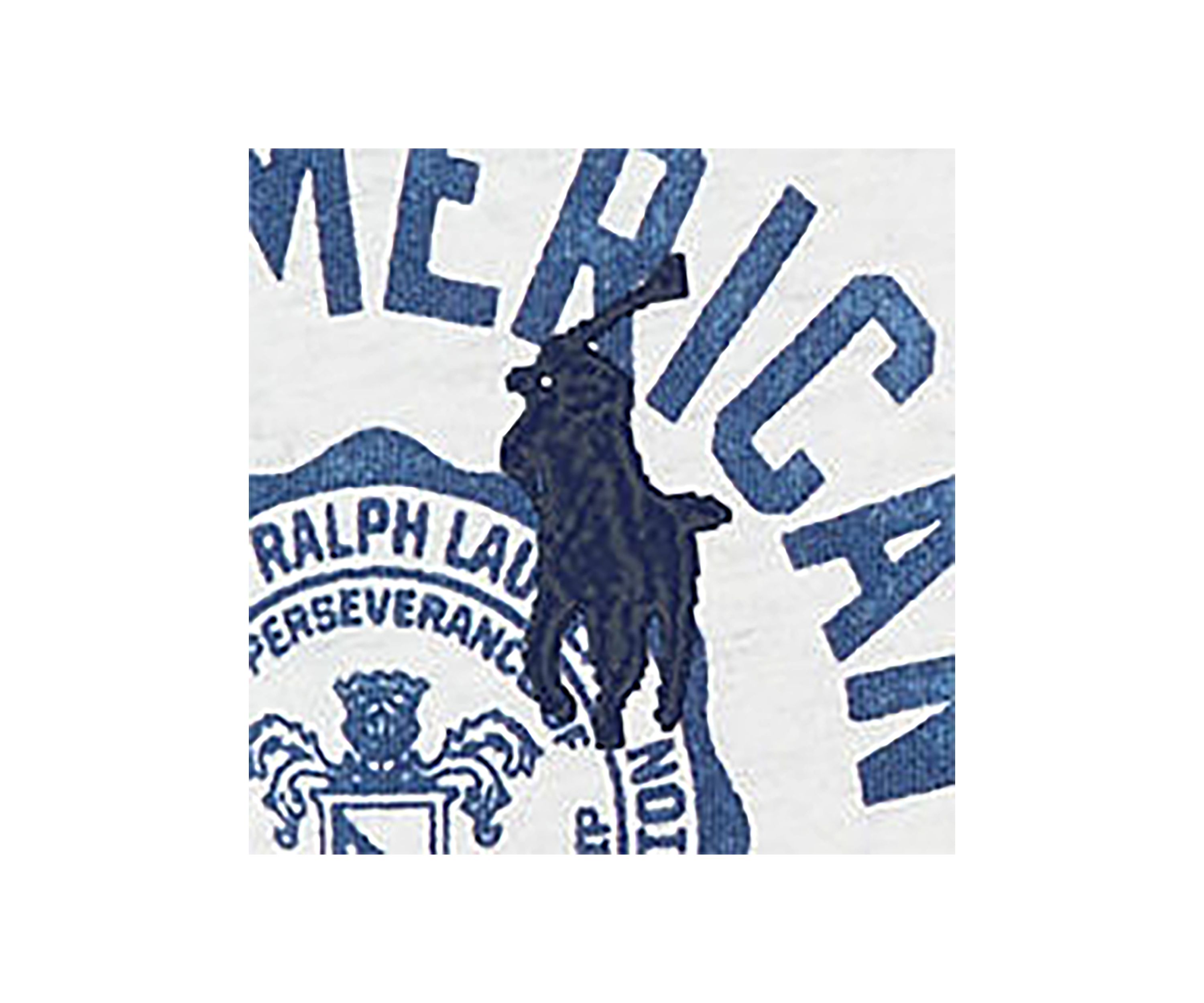 Boys 2-7 Cotton Jersey Graphic Tee