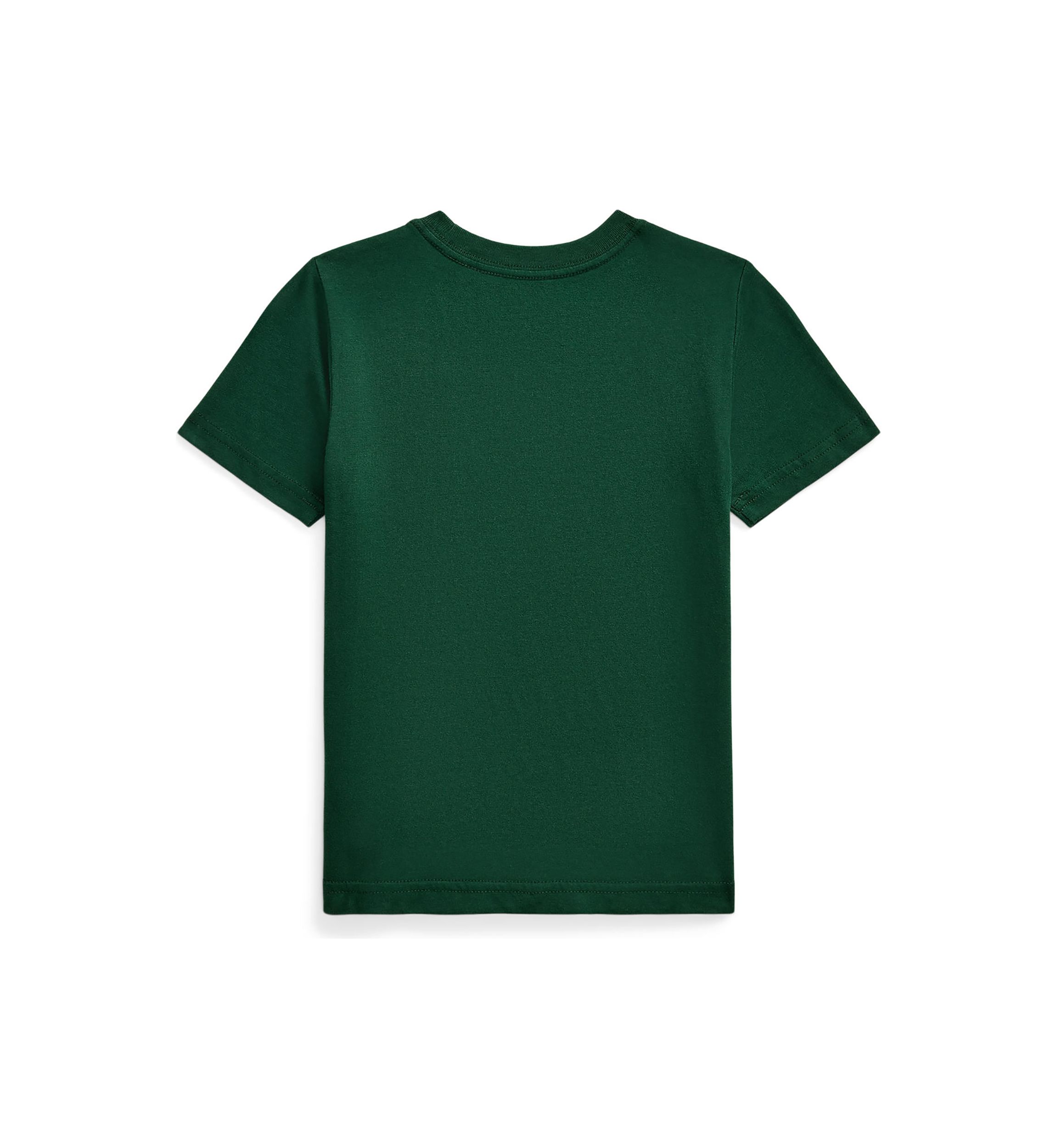 Boys 2-7 Cotton Jersey Graphic Tee