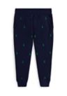 Boys 2-7 Polo Pony Fleece Jogger Pants