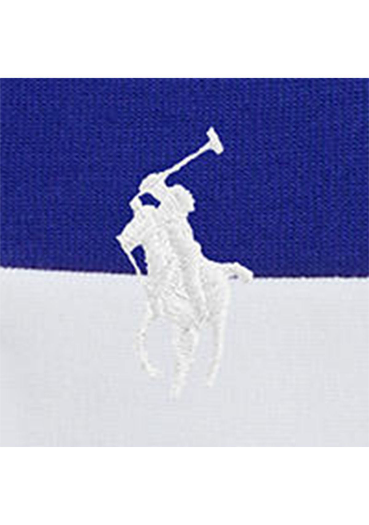 Boys 2-7 Big Pony Double Knit Collared Sweatshirt