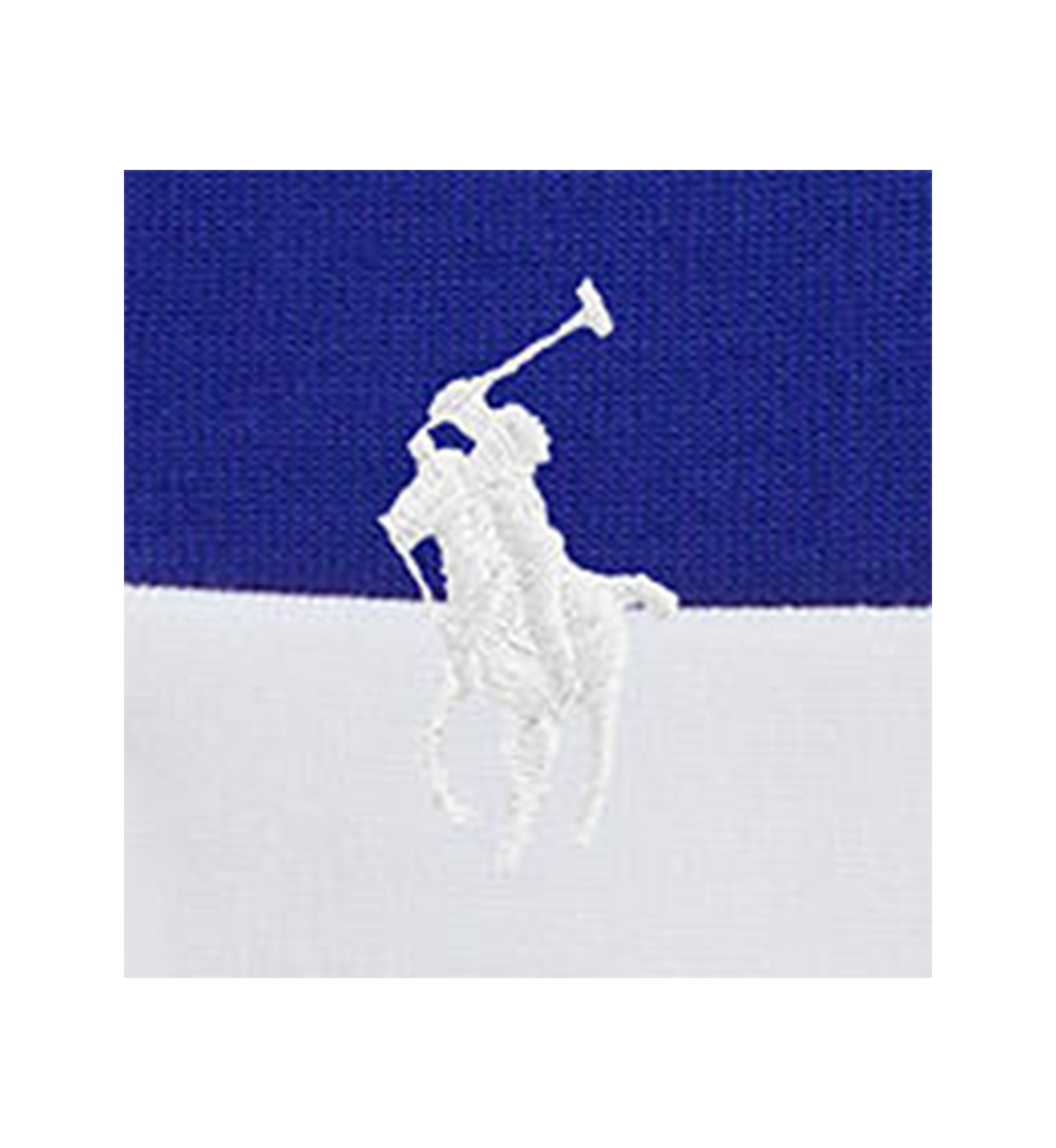 Boys 2-7 Big Pony Double Knit Collared Sweatshirt