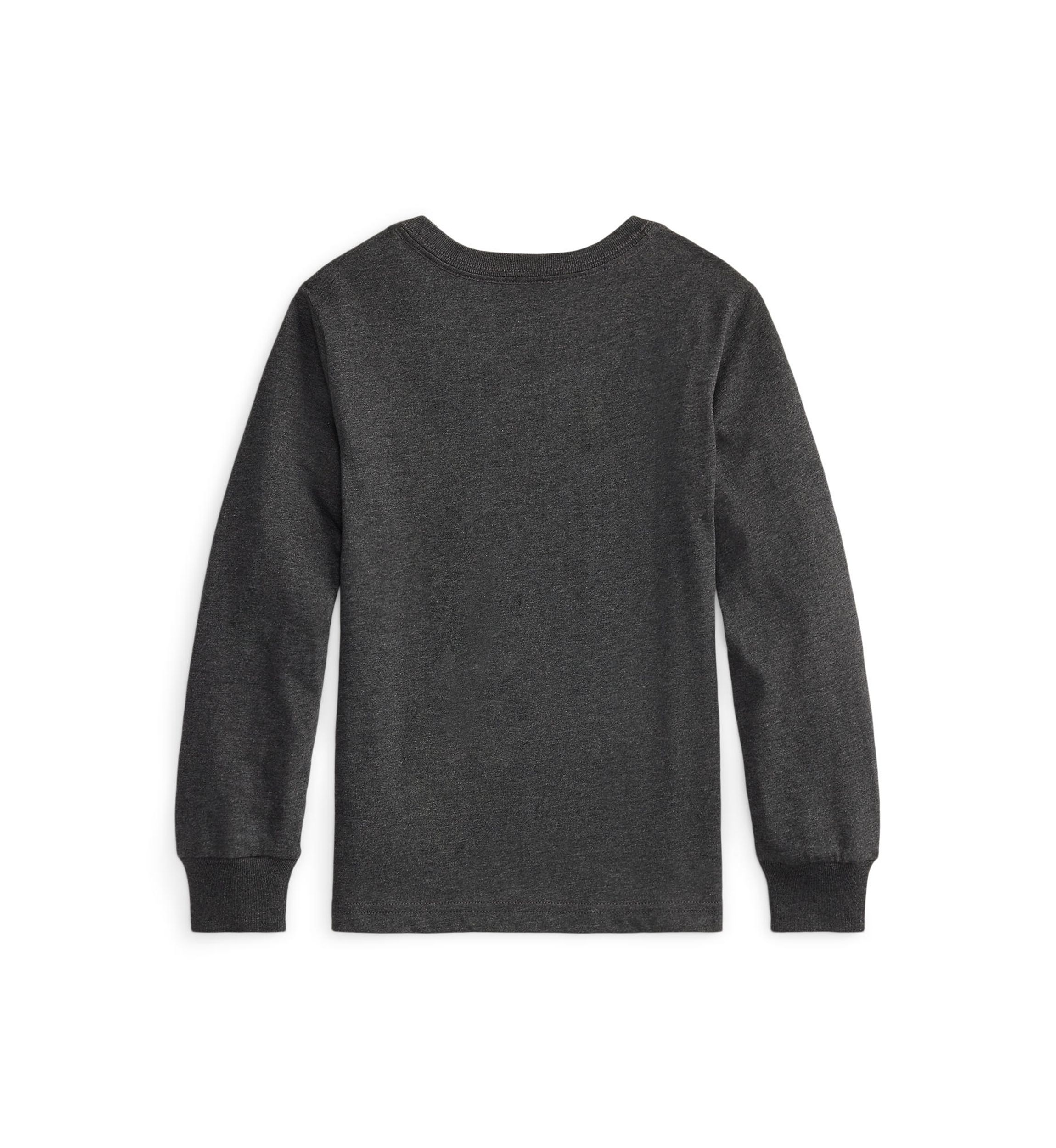 Boys 2-7 Cotton Jersey Graphic Long Sleeve T-Shirt