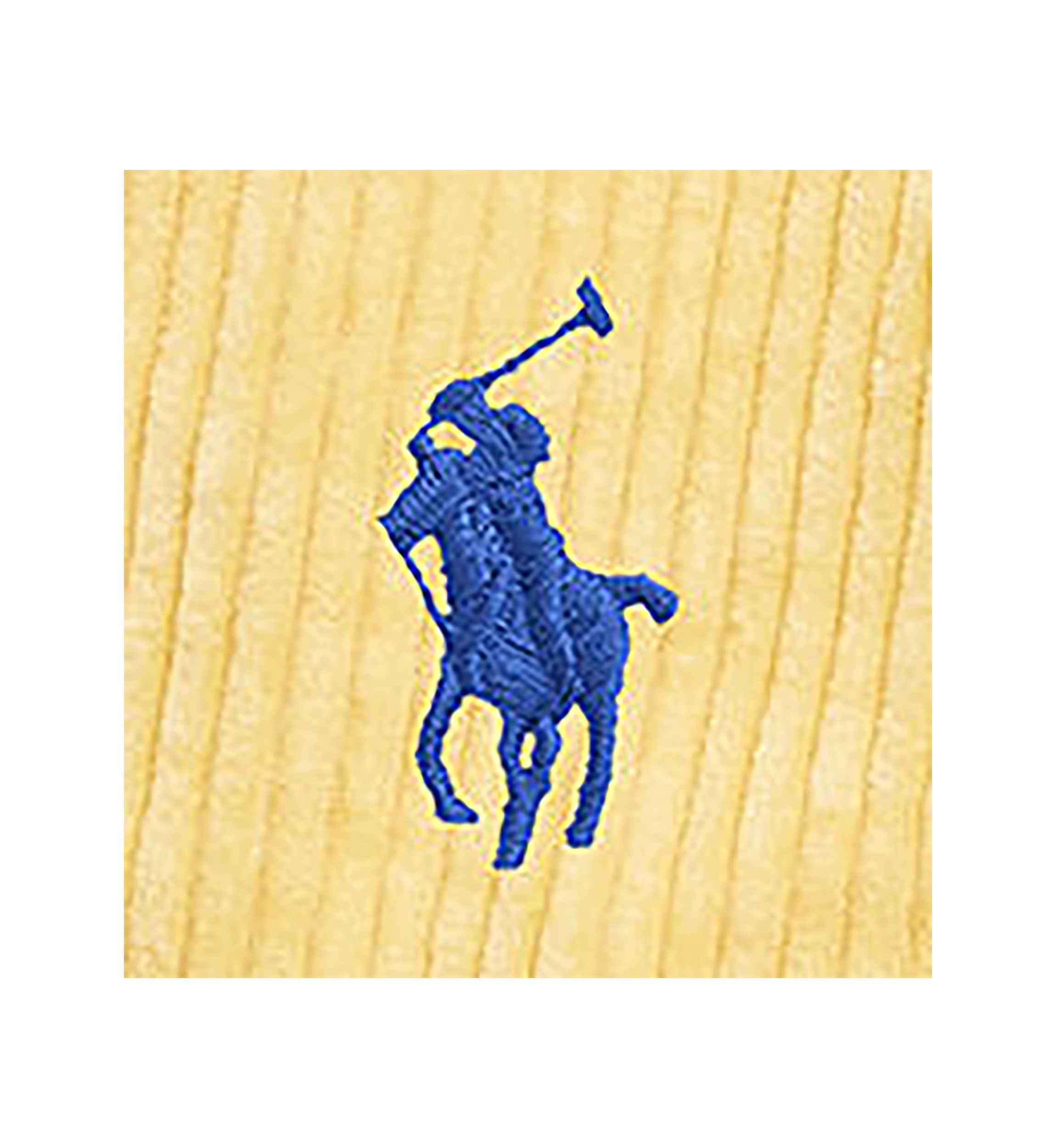 Ralph Lauren Childrenswear Boys 2-7 Polo Prepster Embroidered