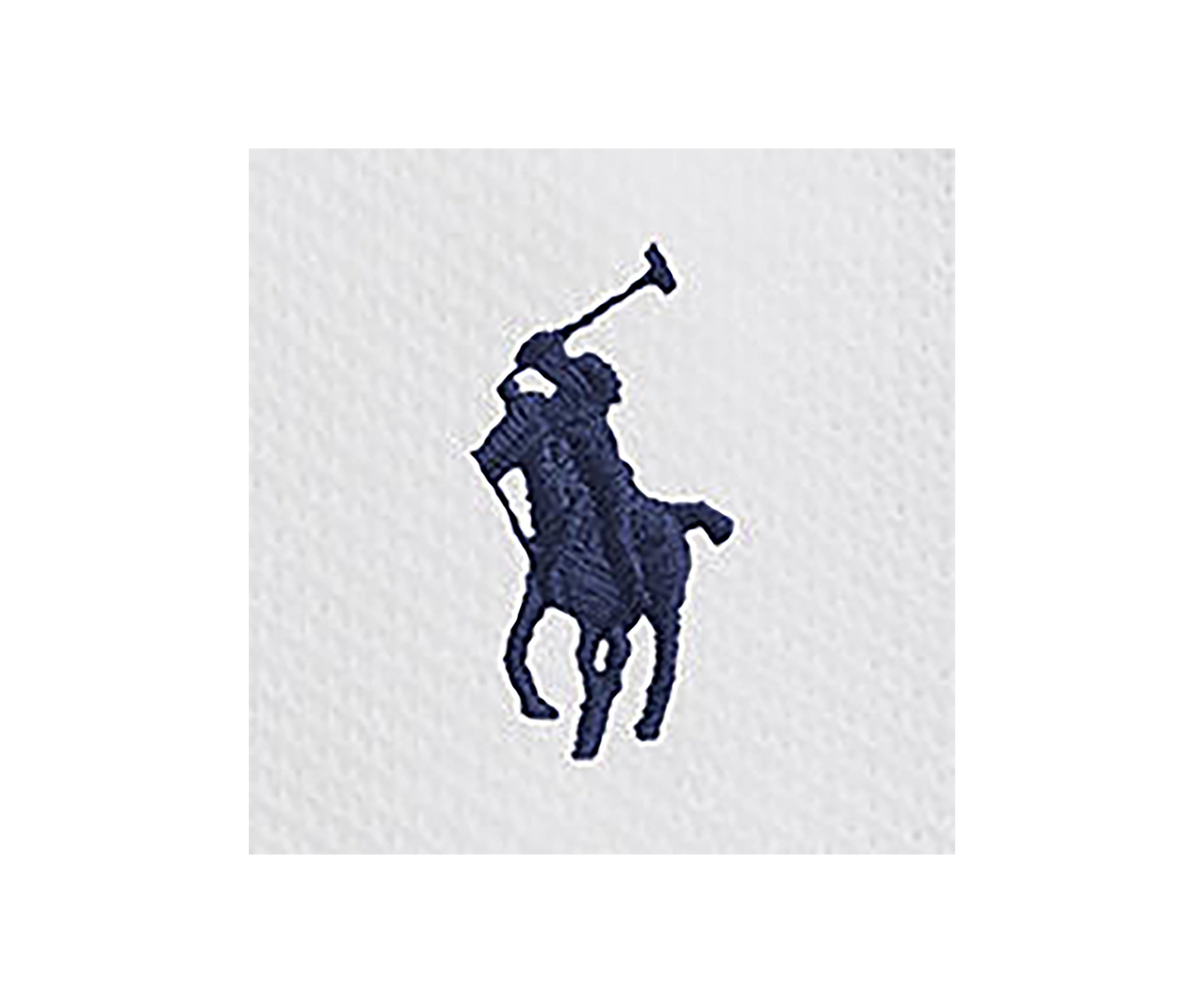 Boys 2-7 Big Pony 20th Anniversary Crest Polo Shirt