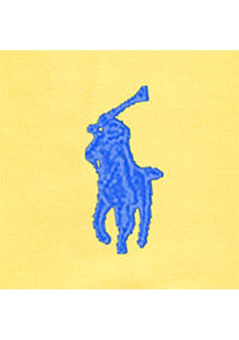 Boys 8-20 The Iconic Mesh Polo Shirt