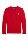 Boys 8-20 Polo Bear Cable Knit Cotton Sweater