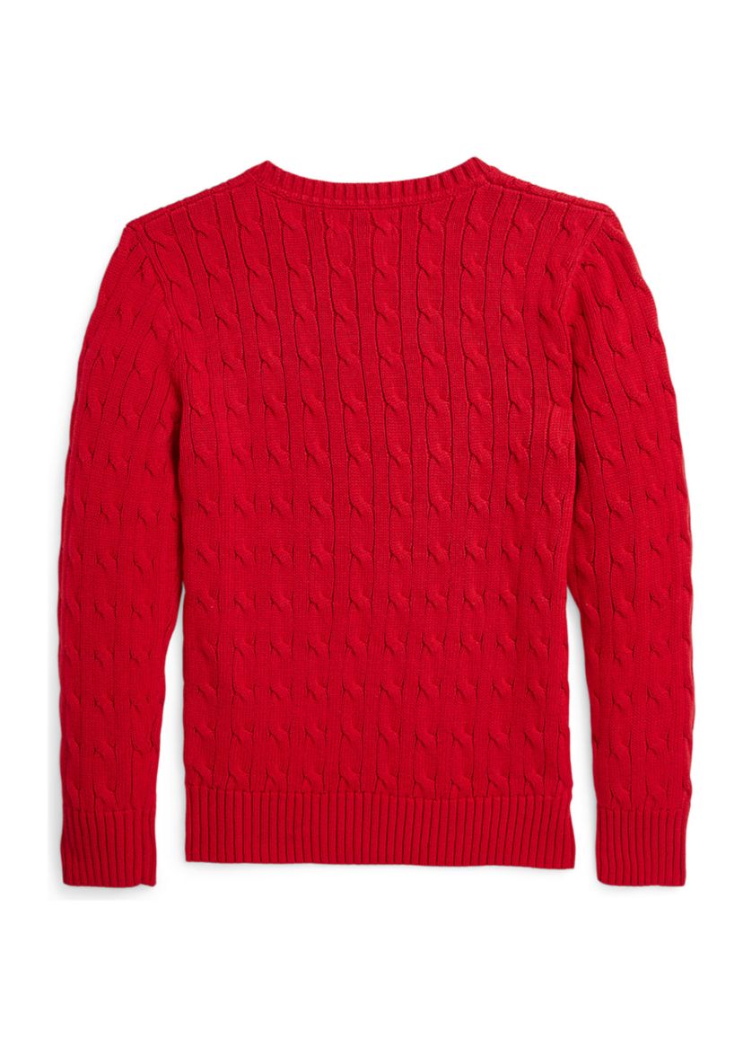 Boys 8-20 Polo Bear Cable Knit Cotton Sweater