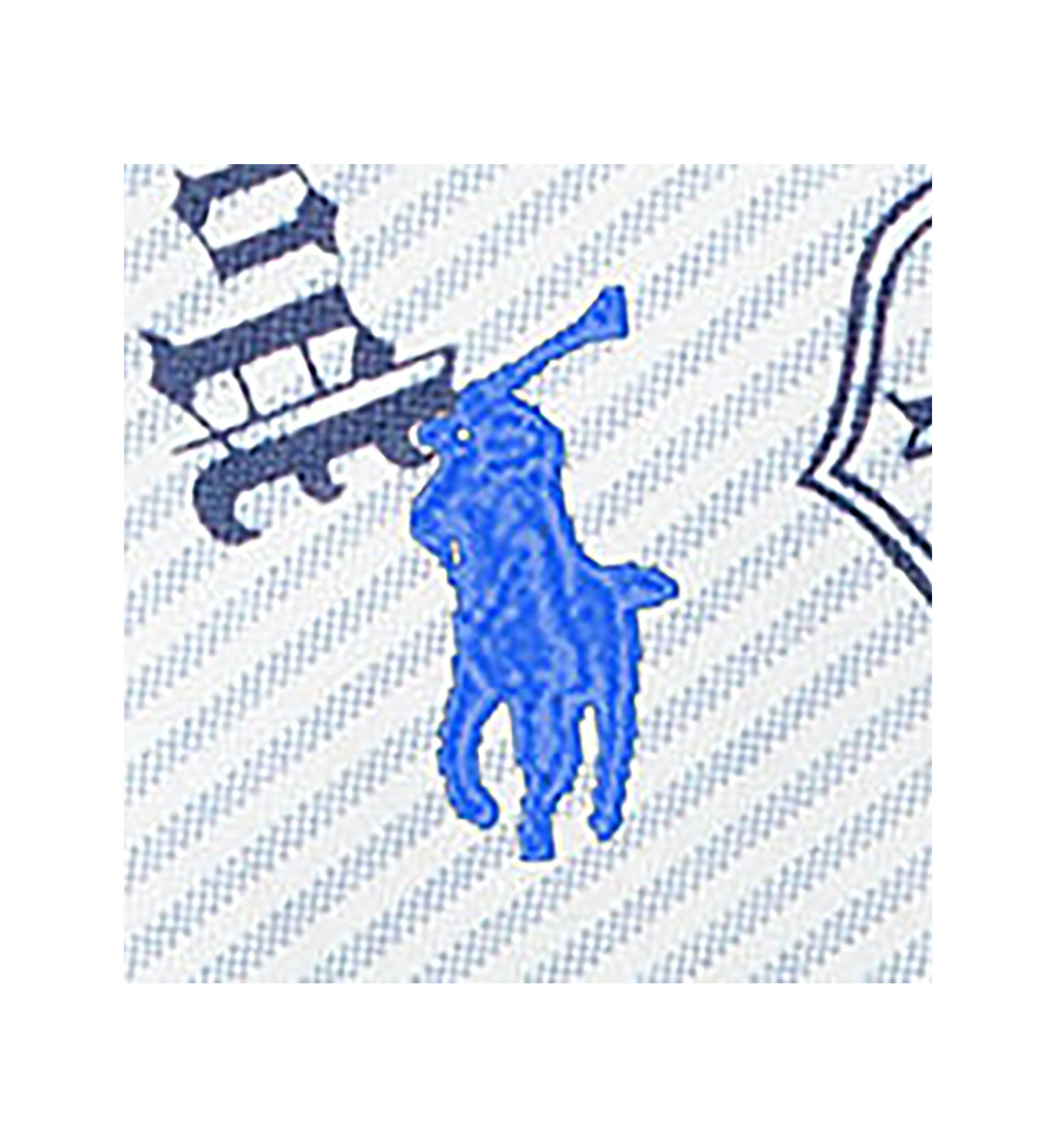Boys 8-20 Striped Cotton Oxford Graphic Shirt