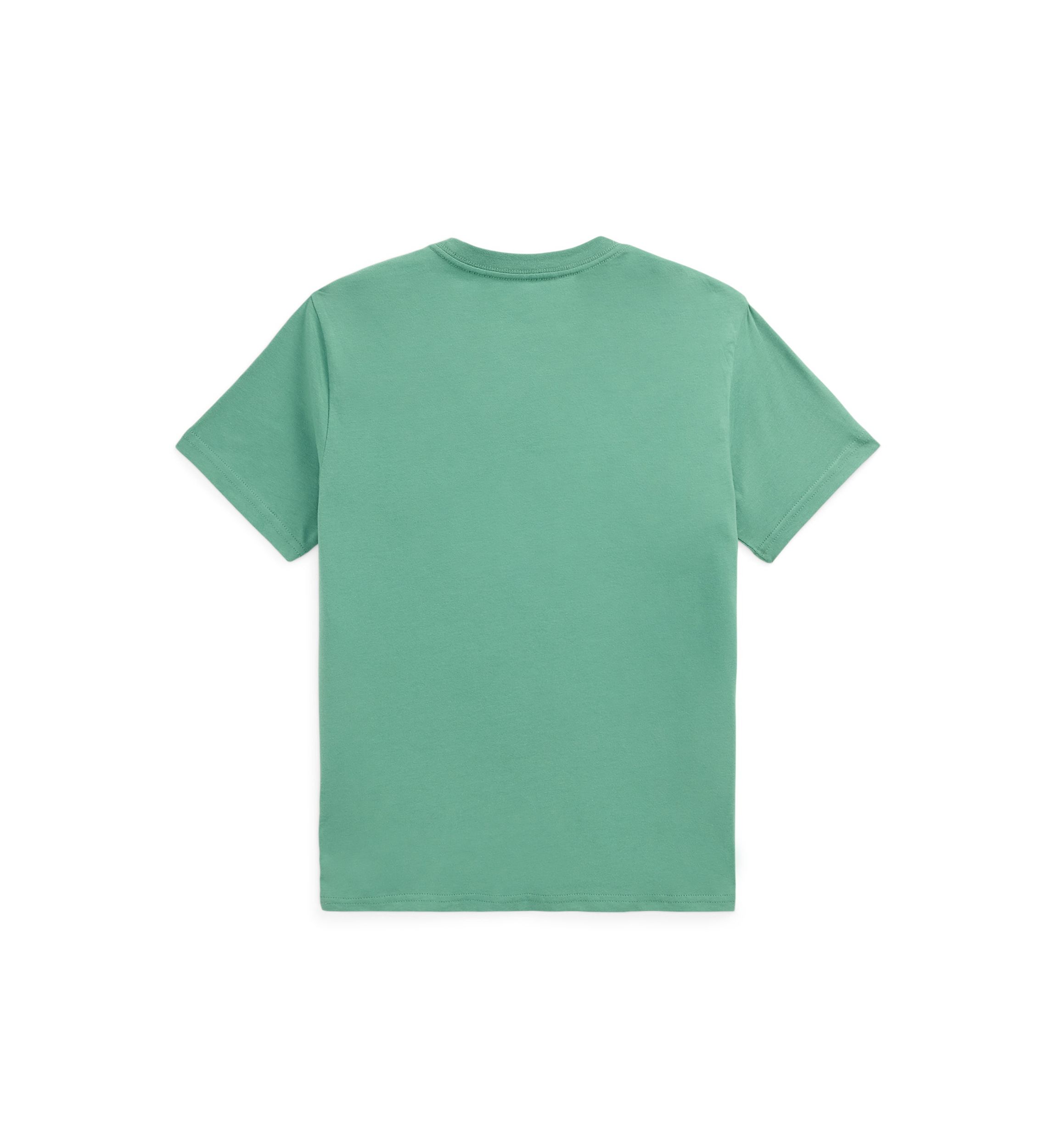 Boys 8-20 Polo Bear Cotton Jersey Tee
