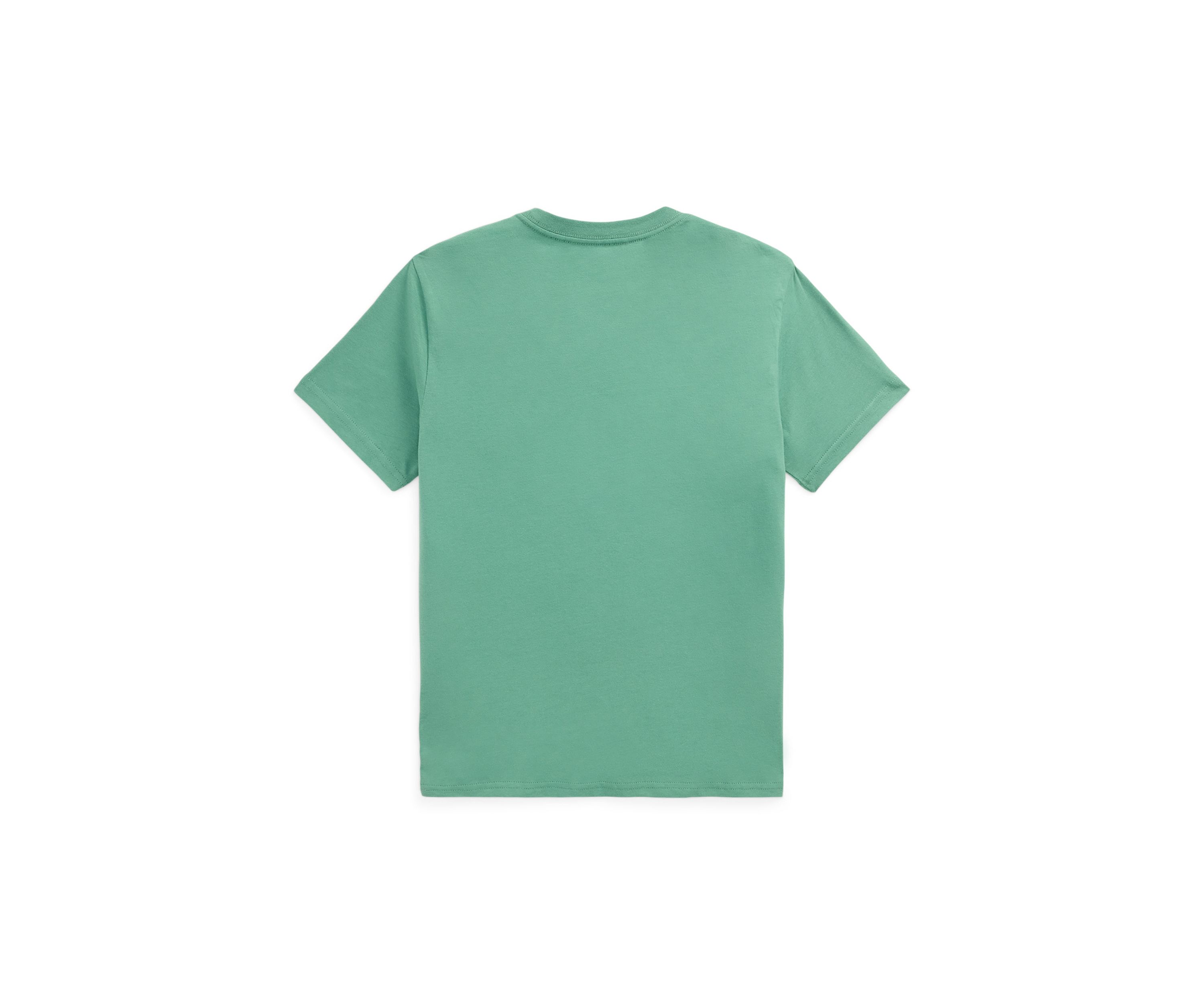 Boys 8-20 Polo Bear Cotton Jersey Tee