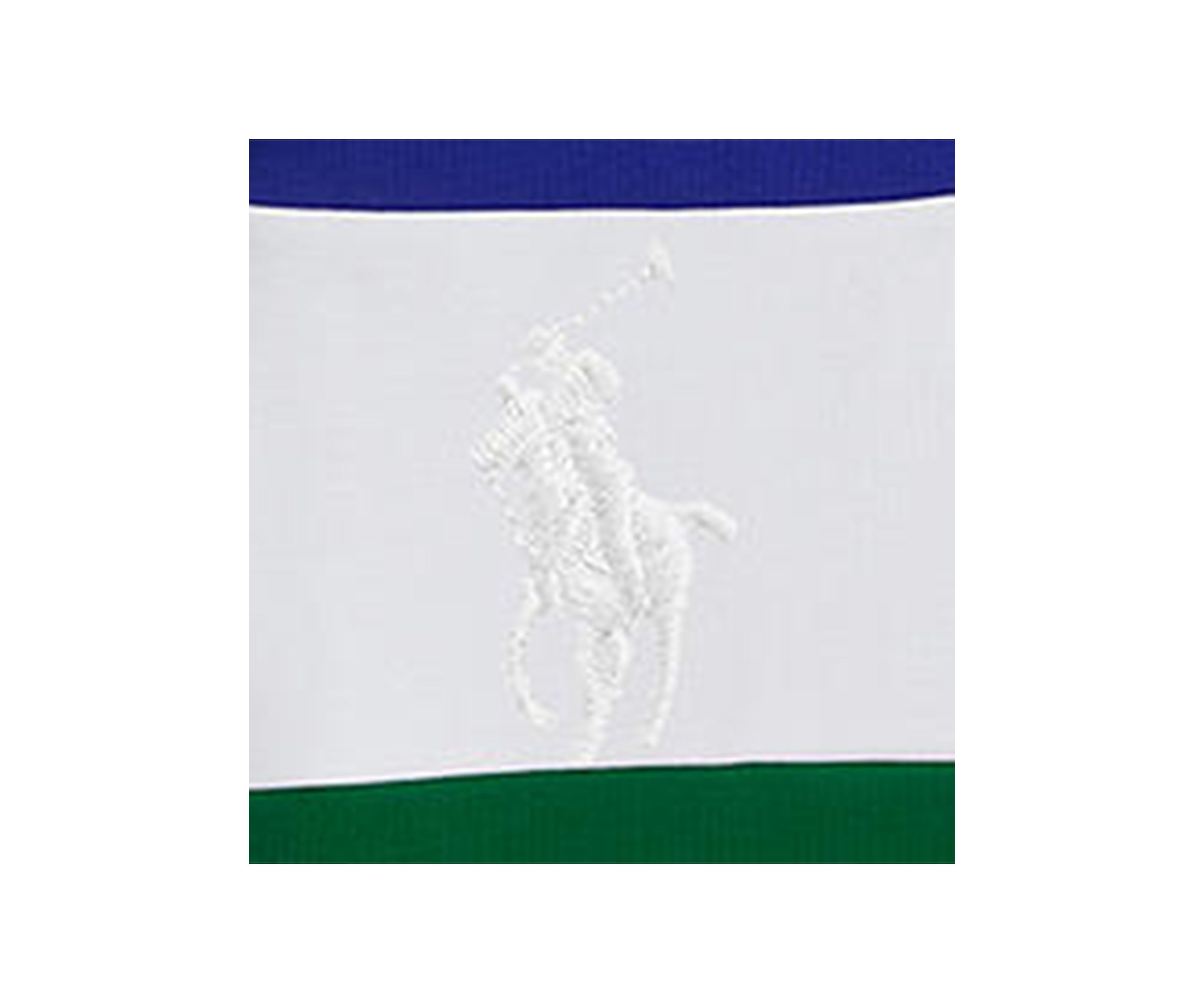 Boys 8-20 Big Pony Double Knit Collared Sweatshirt