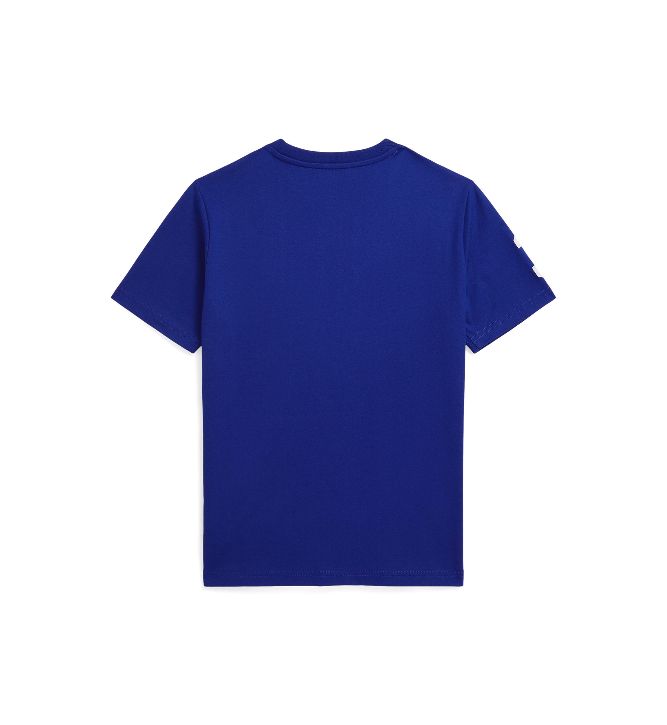 Boys 8-20 Big Pony Heavyweight Cotton Jersey T-Shirt