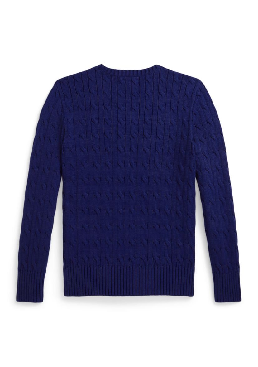 Boys 8-20 Polo Bear Cable-Knit Cotton Sweater