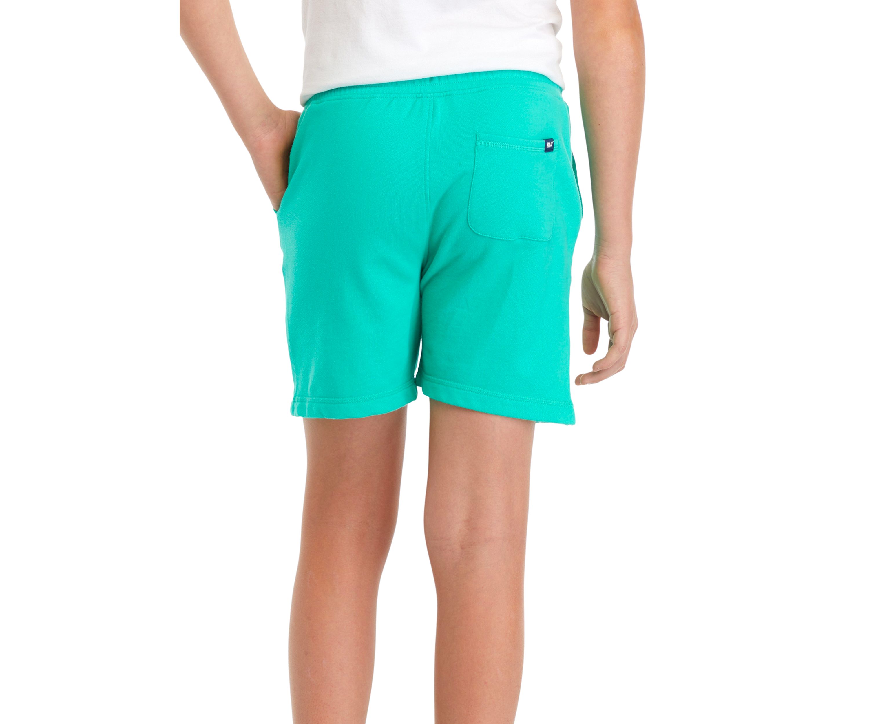 Boys 8-20 Sun Washed Knit Shorts