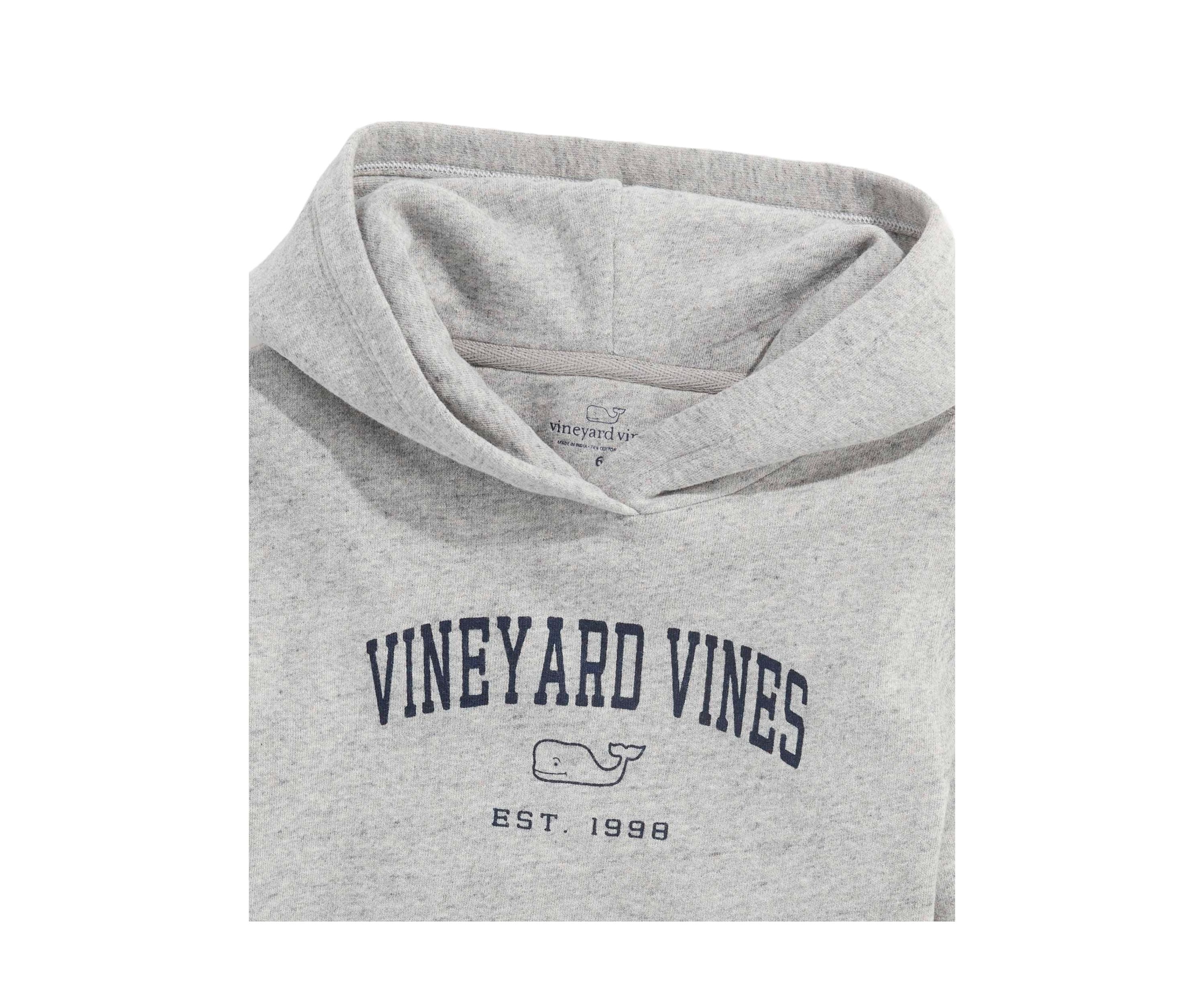 Boys 8-20 Graphic Hoodie