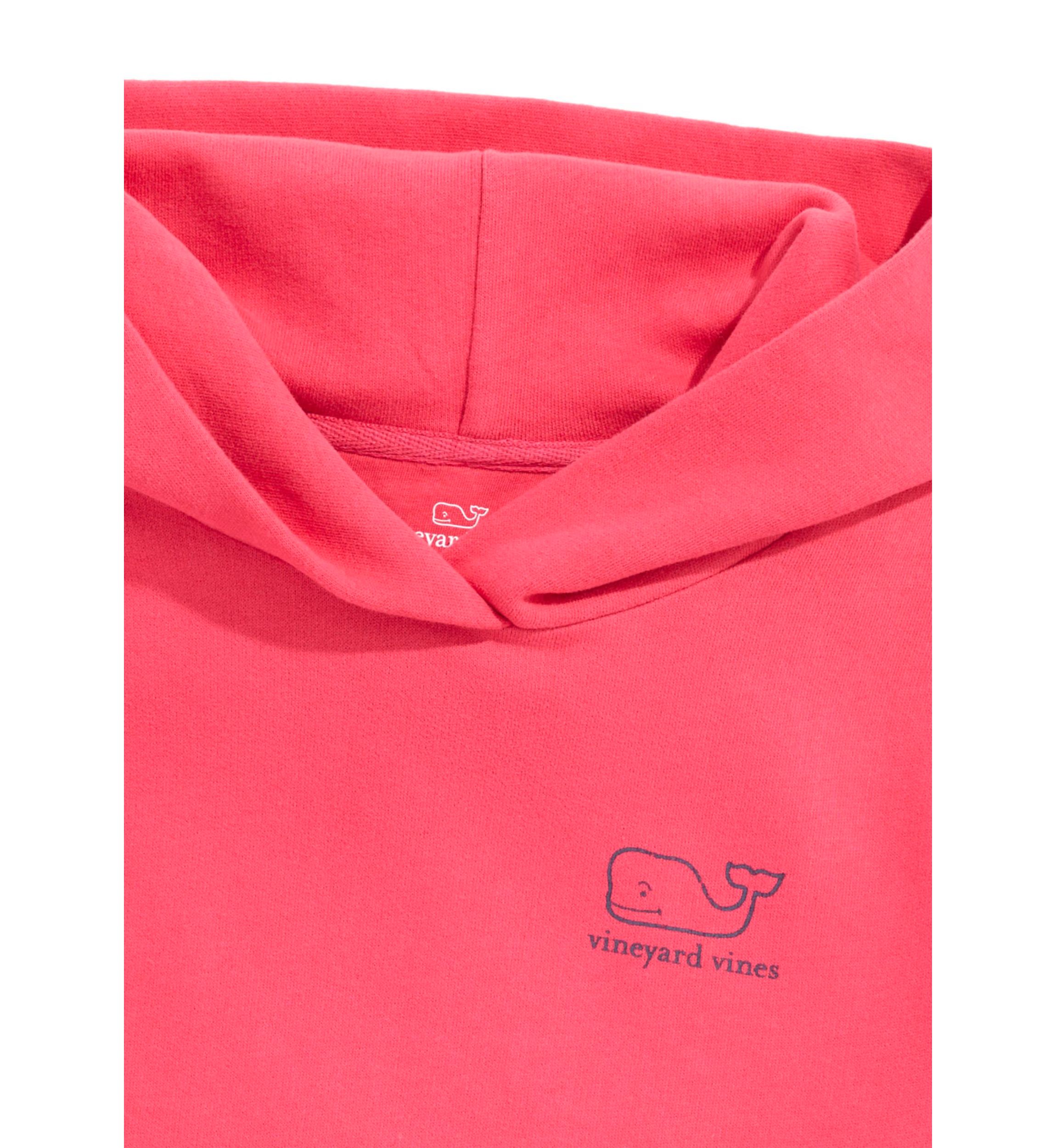Boys 8-20 Vintage Whale Pullover Hoodie