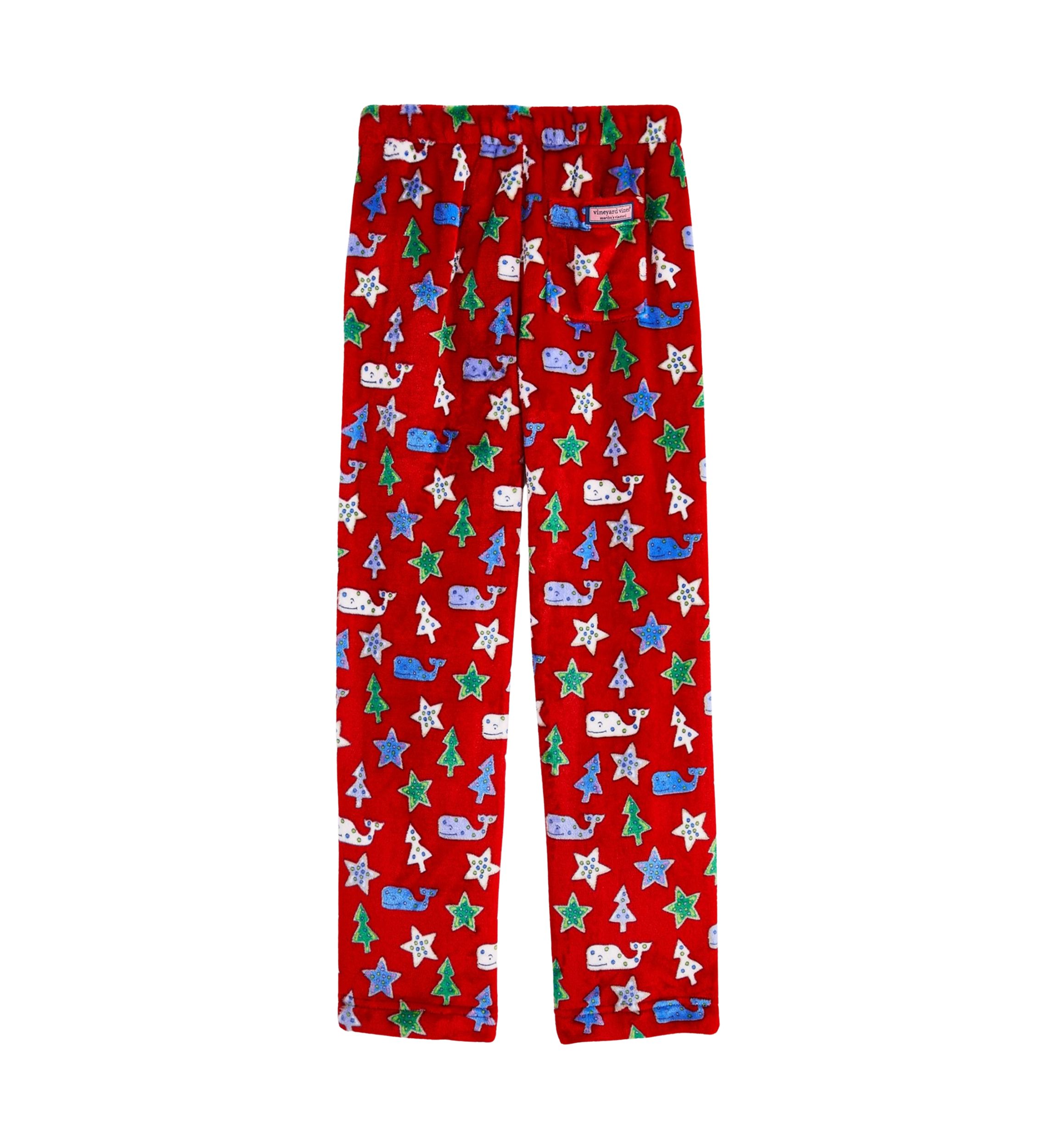 Boys 8-20 High Pile Printed Lounge Pants