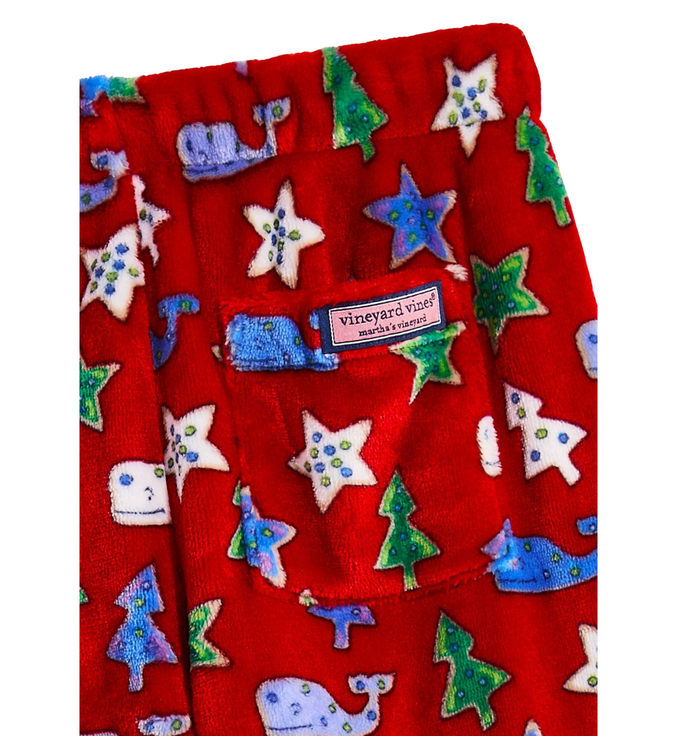 Boys 8-20 High Pile Printed Lounge Pants