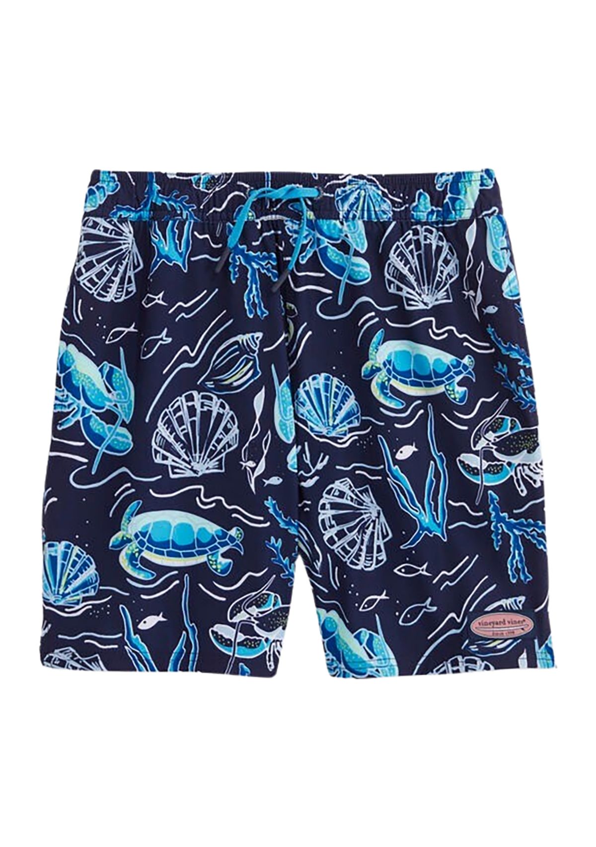 Boys 8-20 Printed Chappy Swim Trunks
