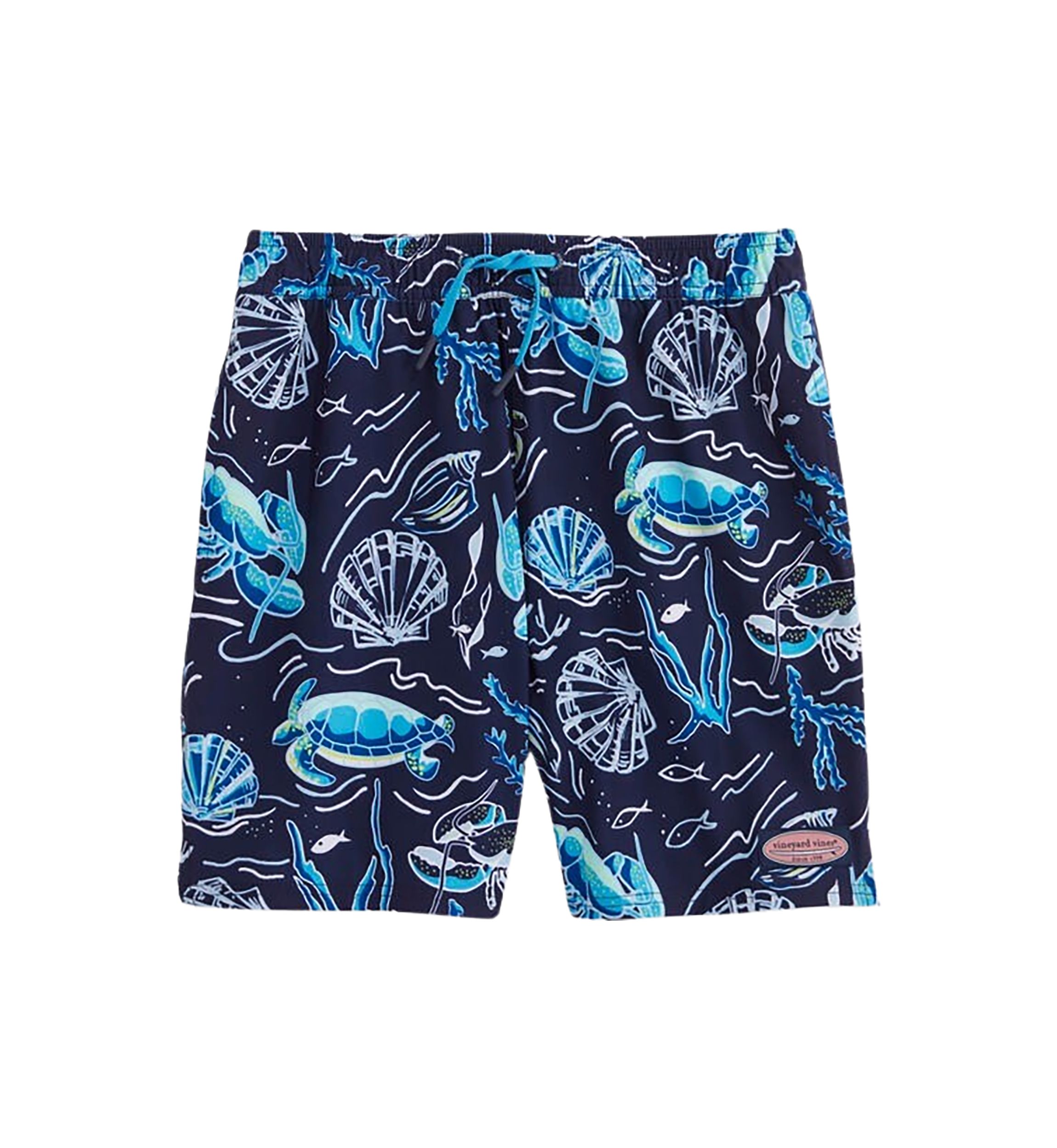 Boys 8-20 Printed Chappy Swim Trunks