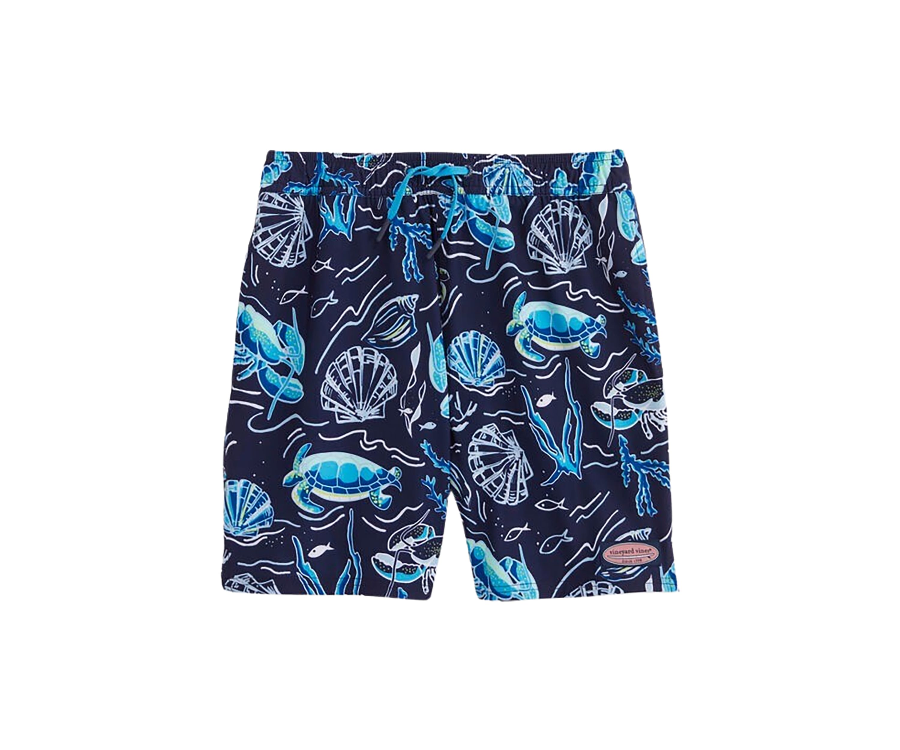 Boys 8-20 Printed Chappy Swim Trunks