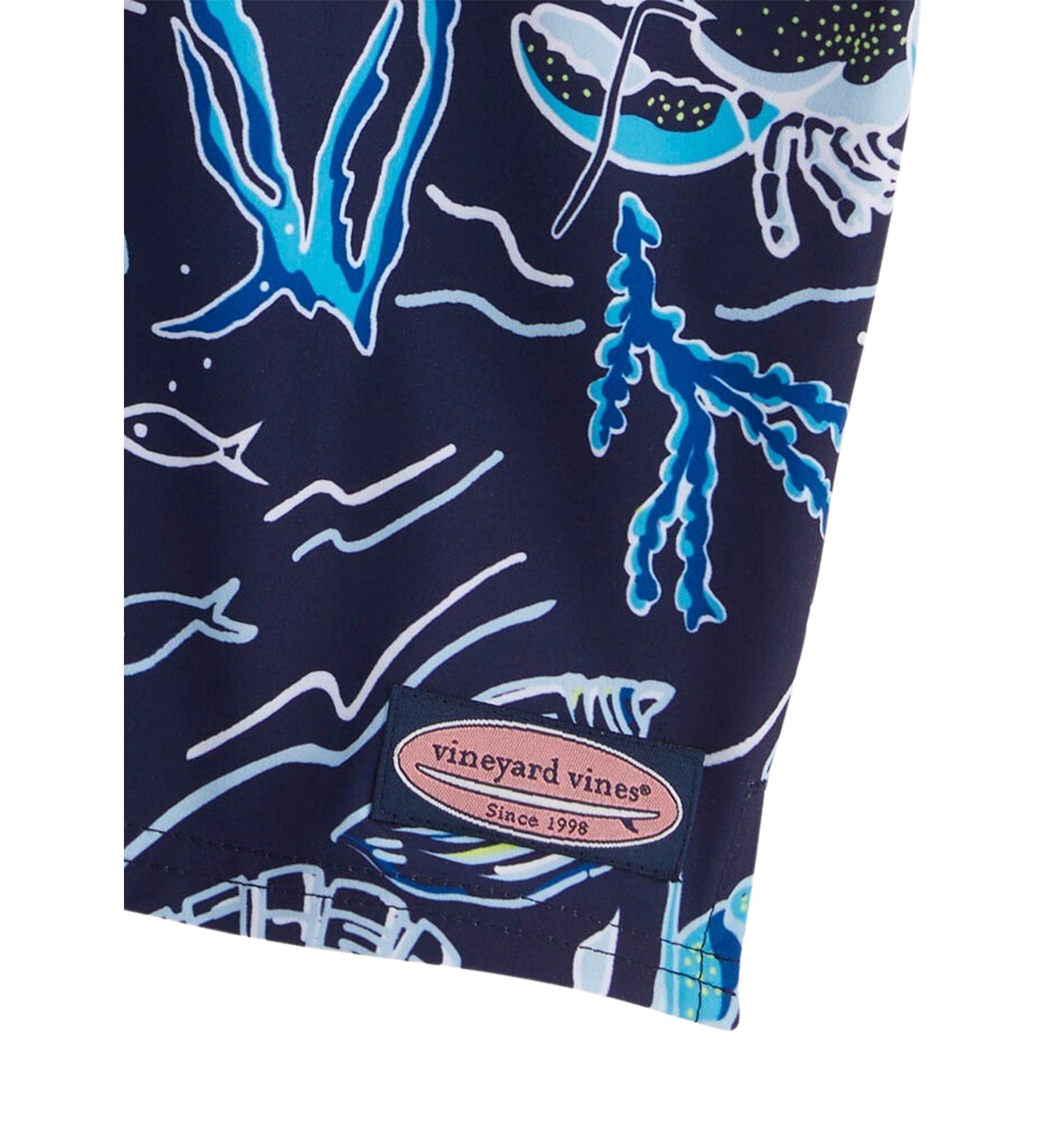 Boys 8-20 Printed Chappy Swim Trunks