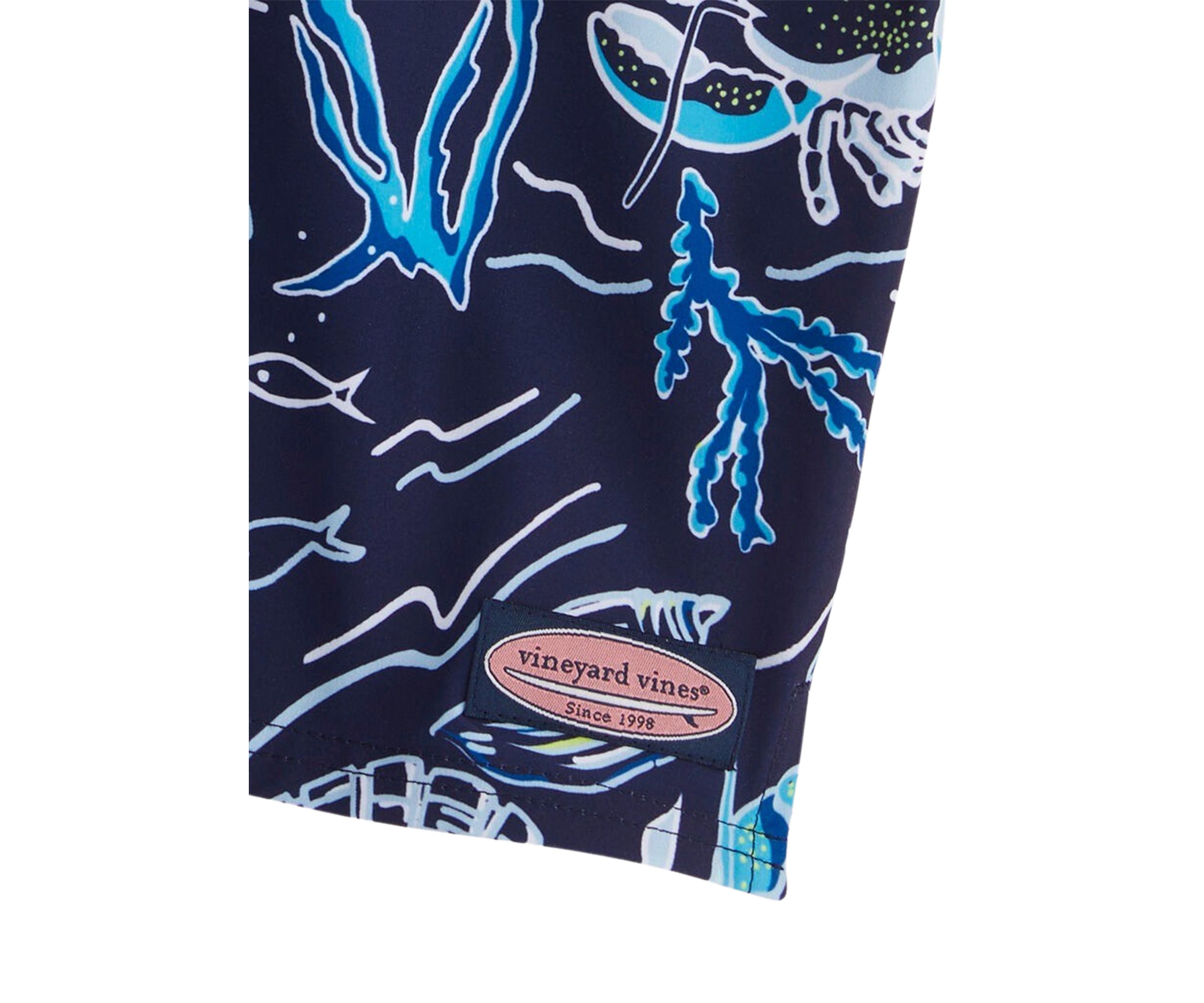 Boys 8-20 Printed Chappy Swim Trunks