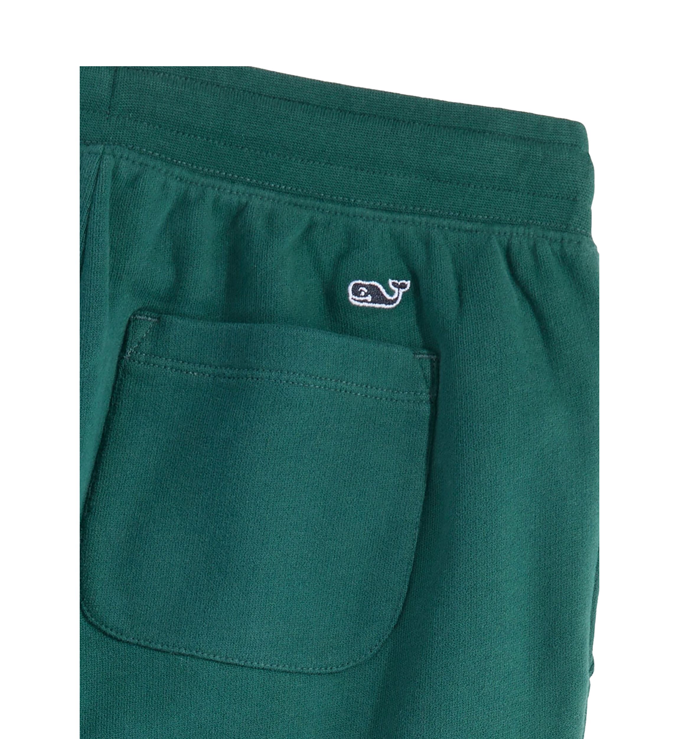 Boys 8-20 French Terry Joggers