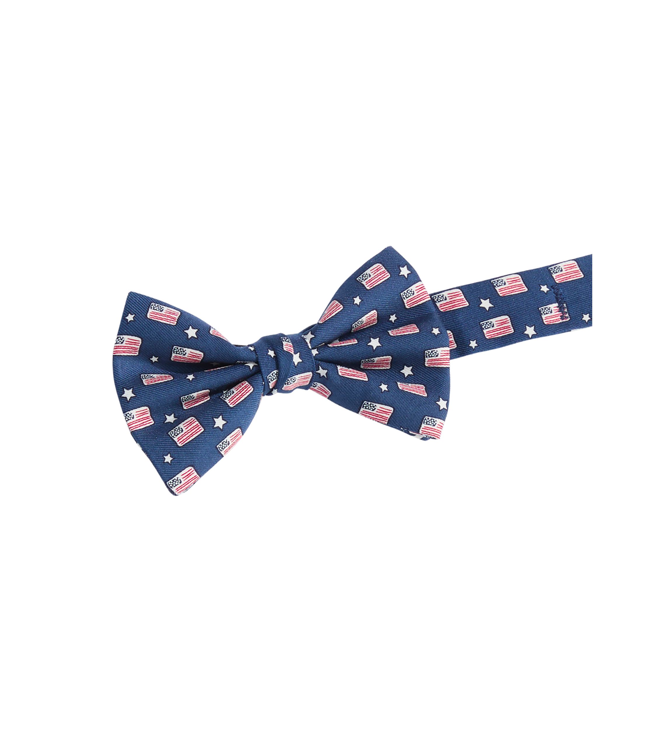 Boys 8-20 Flags and Stars Bow Tie 