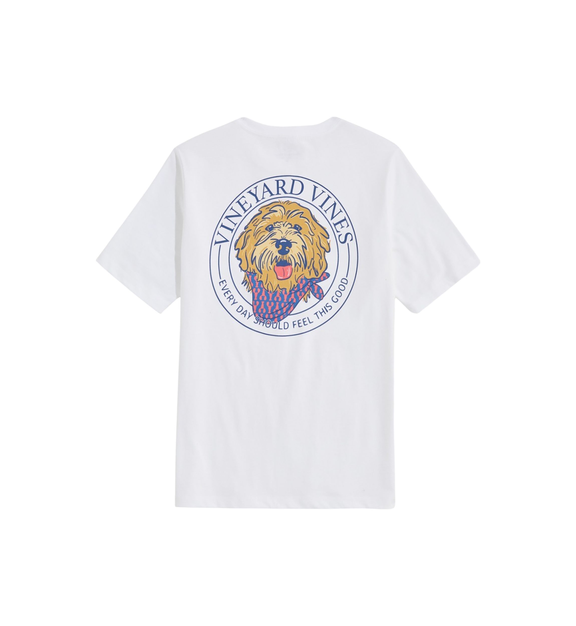 Boys 8-20 Golden Doodle Short Sleeve Graphic T-Shirt