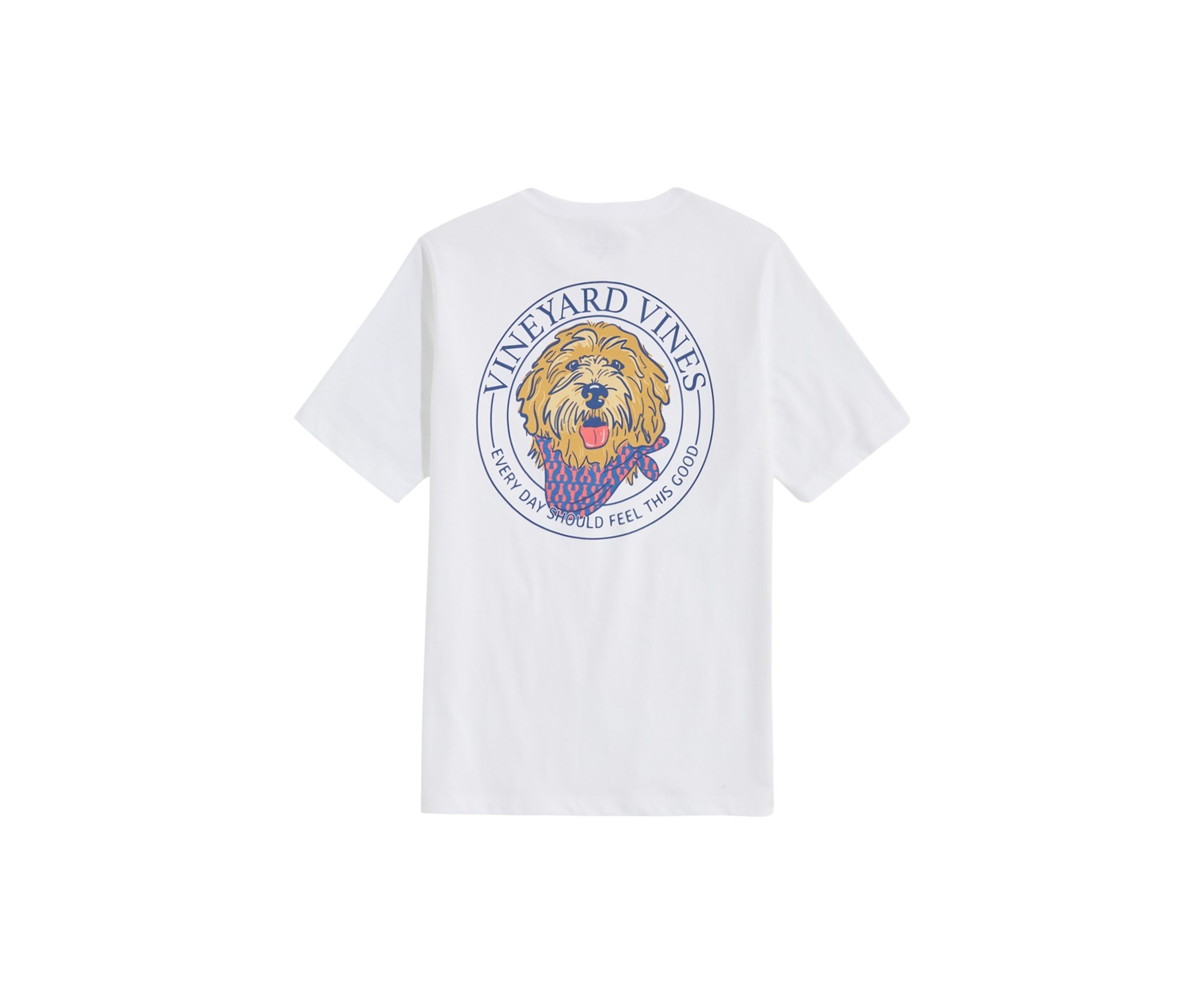 Boys 8-20 Golden Doodle Short Sleeve Graphic T-Shirt