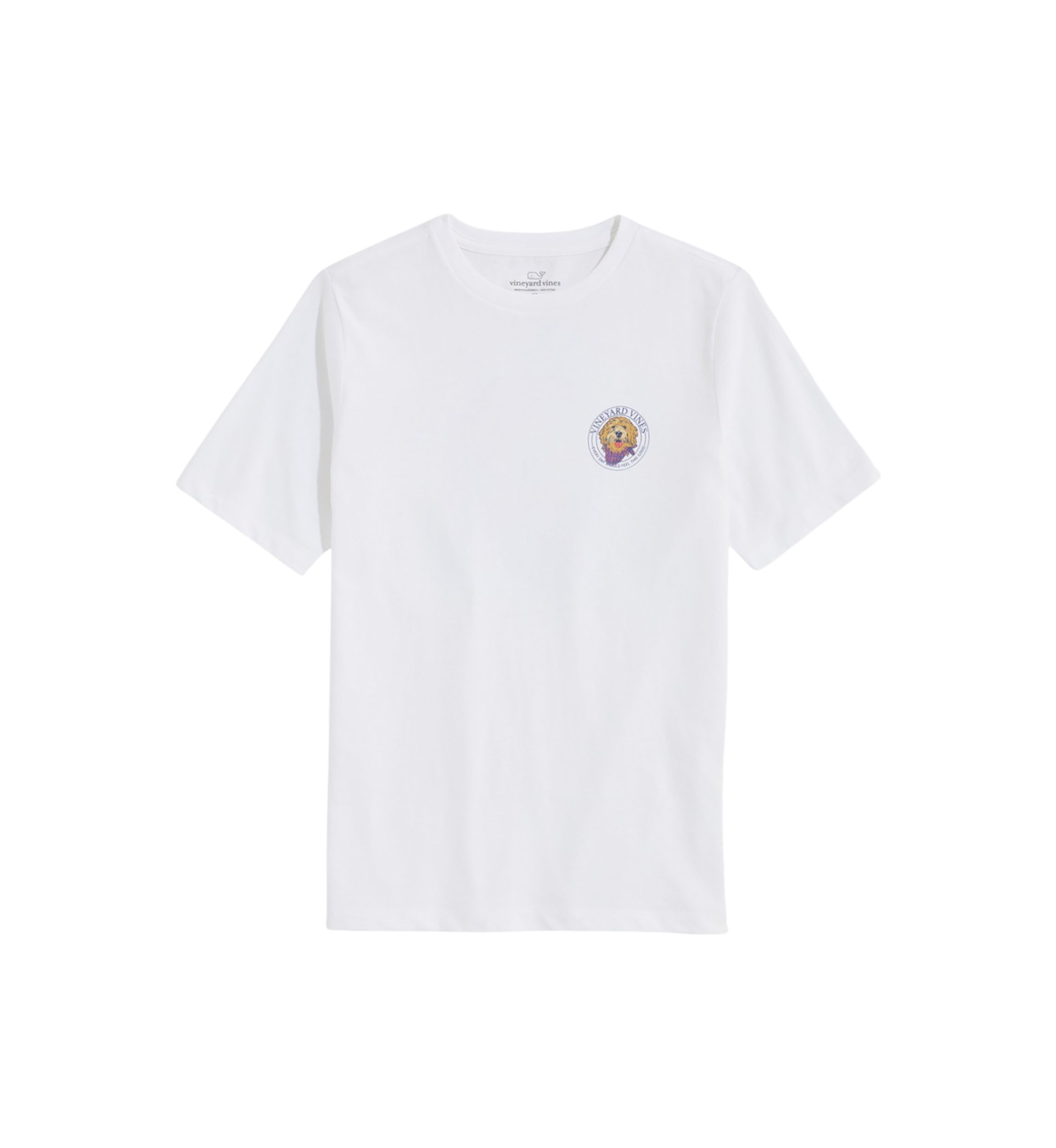 Boys 8-20 Golden Doodle Short Sleeve Graphic T-Shirt