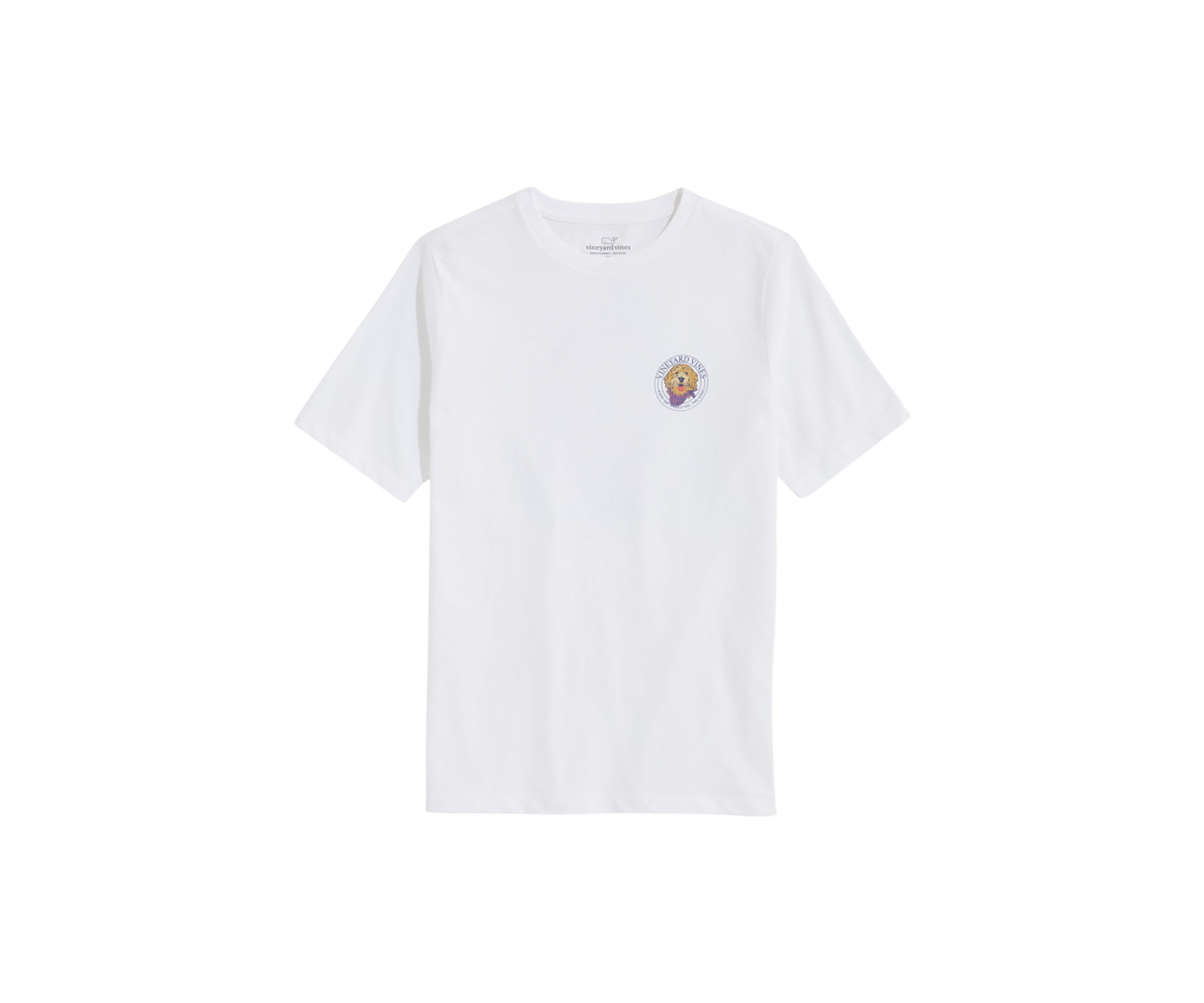 Boys 8-20 Golden Doodle Short Sleeve Graphic T-Shirt