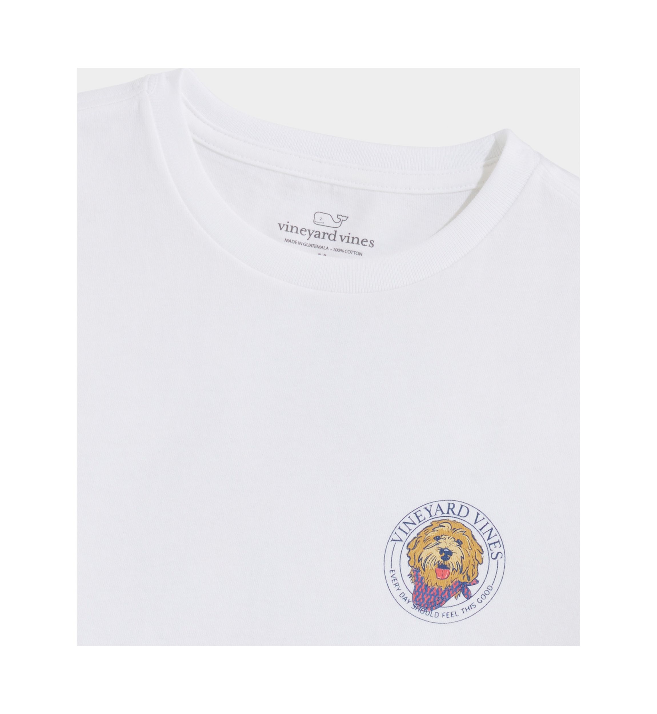Boys 8-20 Golden Doodle Short Sleeve Graphic T-Shirt