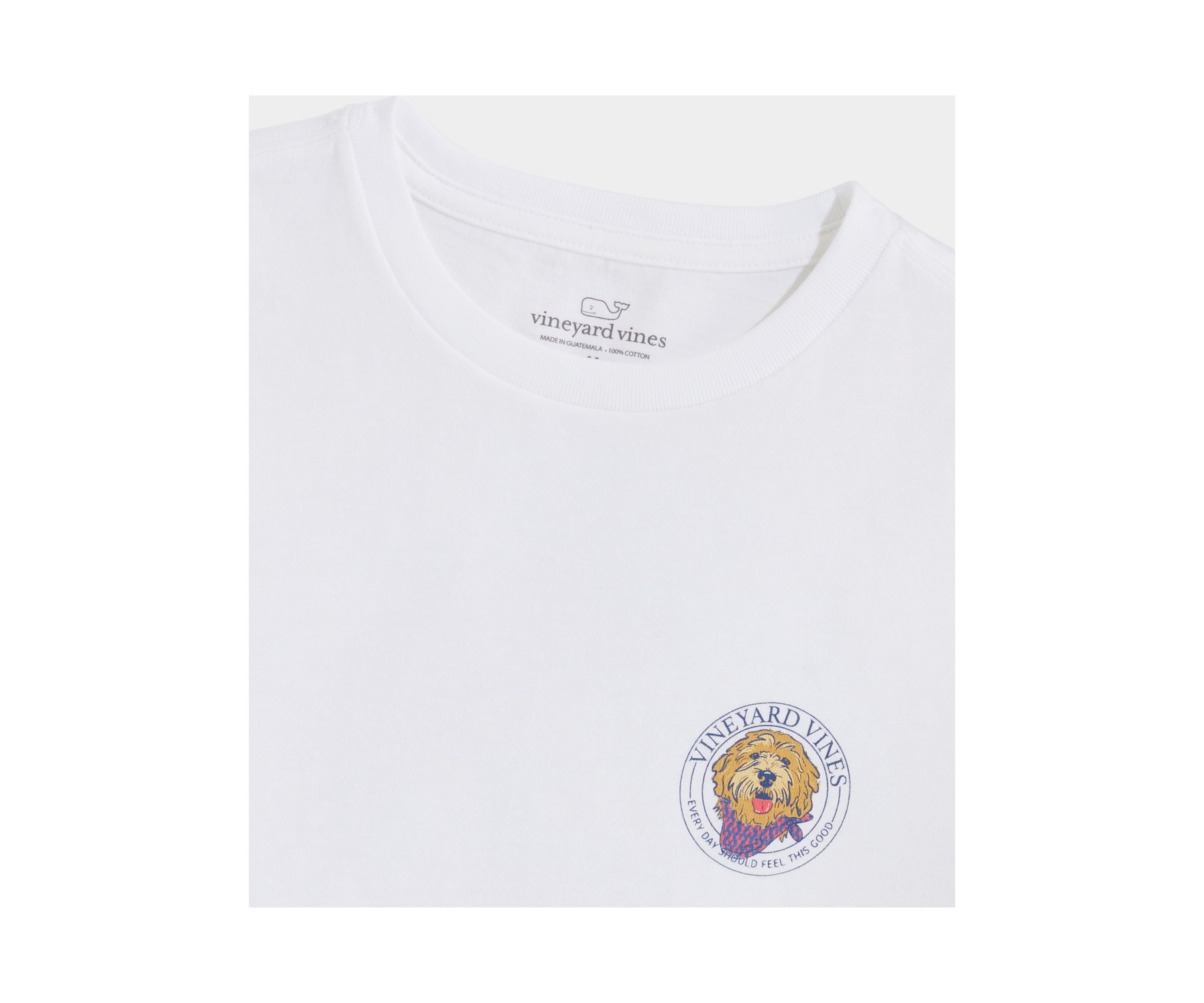 Boys 8-20 Golden Doodle Short Sleeve Graphic T-Shirt