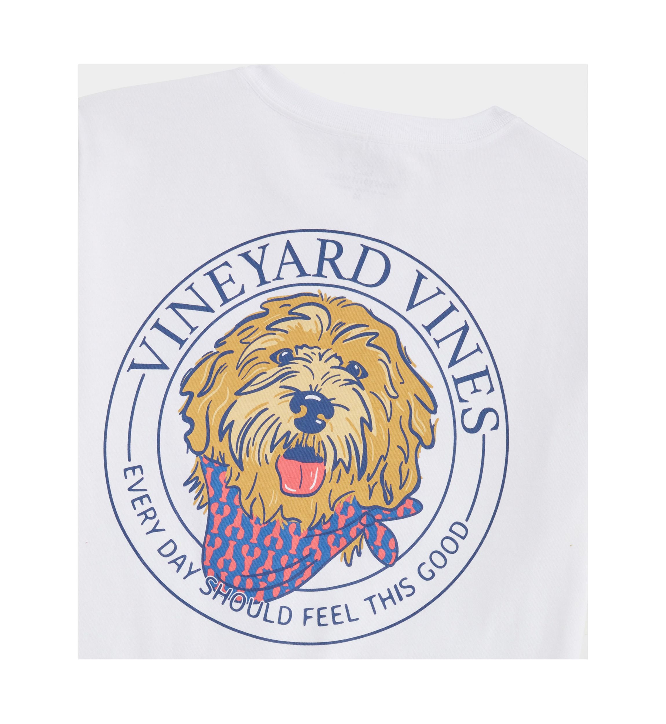Boys 8-20 Golden Doodle Short Sleeve Graphic T-Shirt