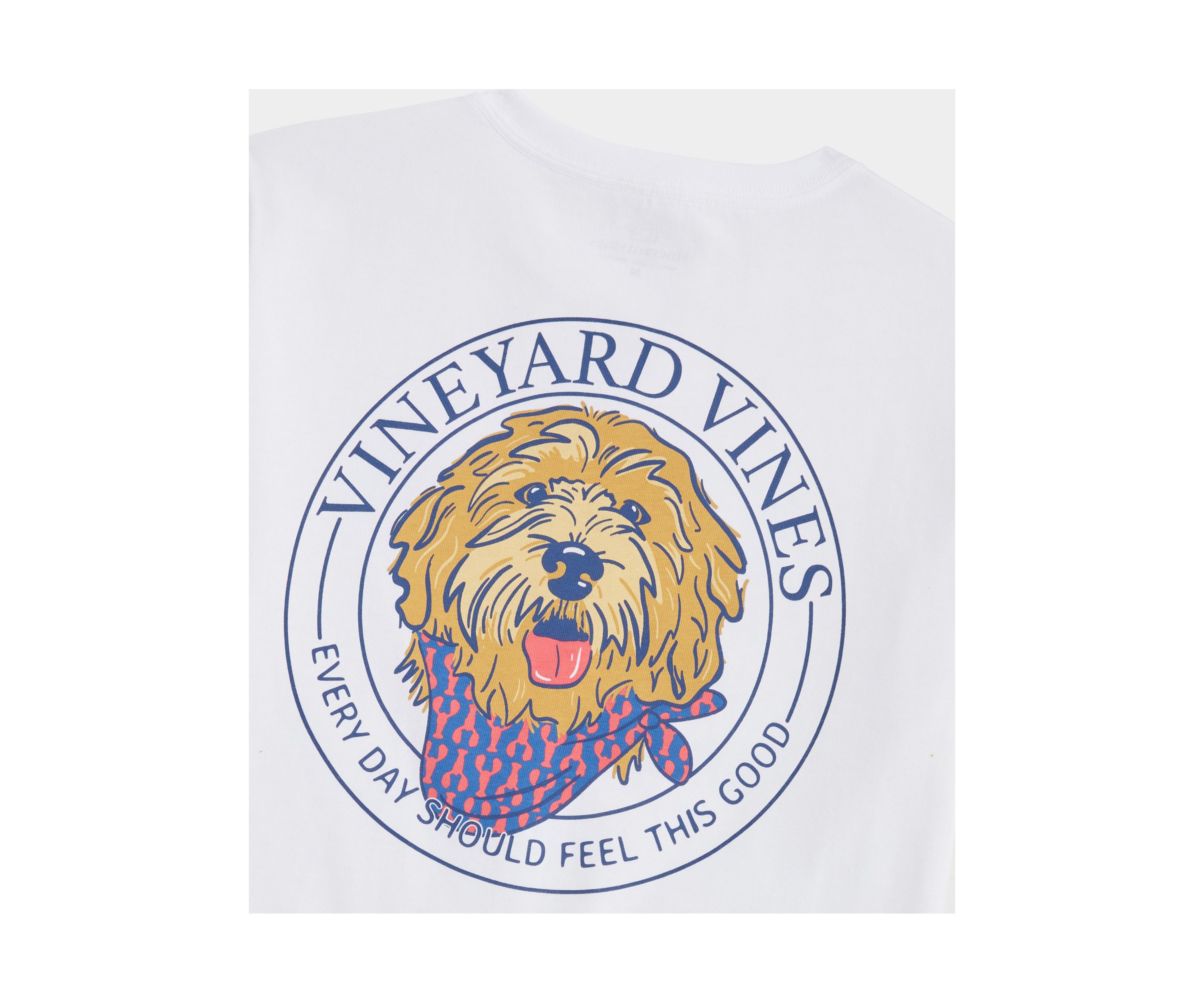 Boys 8-20 Golden Doodle Short Sleeve Graphic T-Shirt
