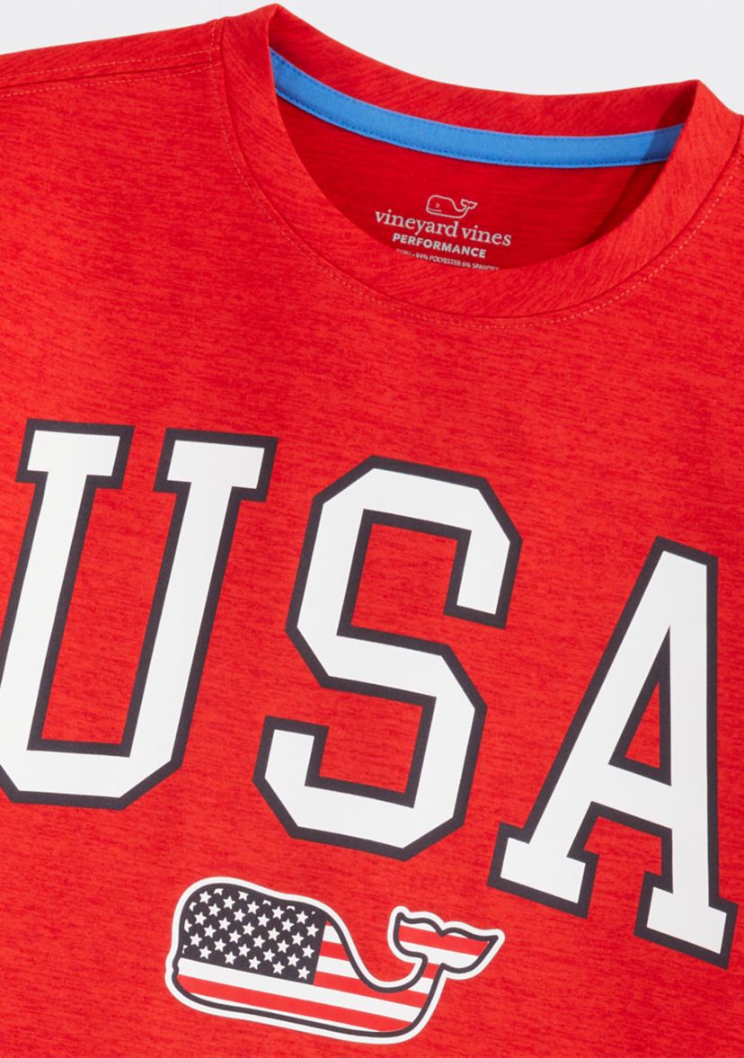 Boys 8-20 Short Sleeve USA Graphic T-Shirt 