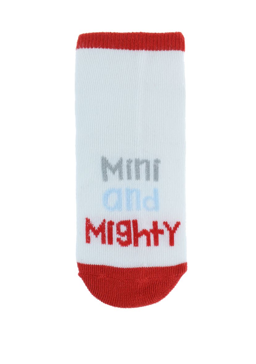 Baby Boys Set of 20 Tod on the Move Socks