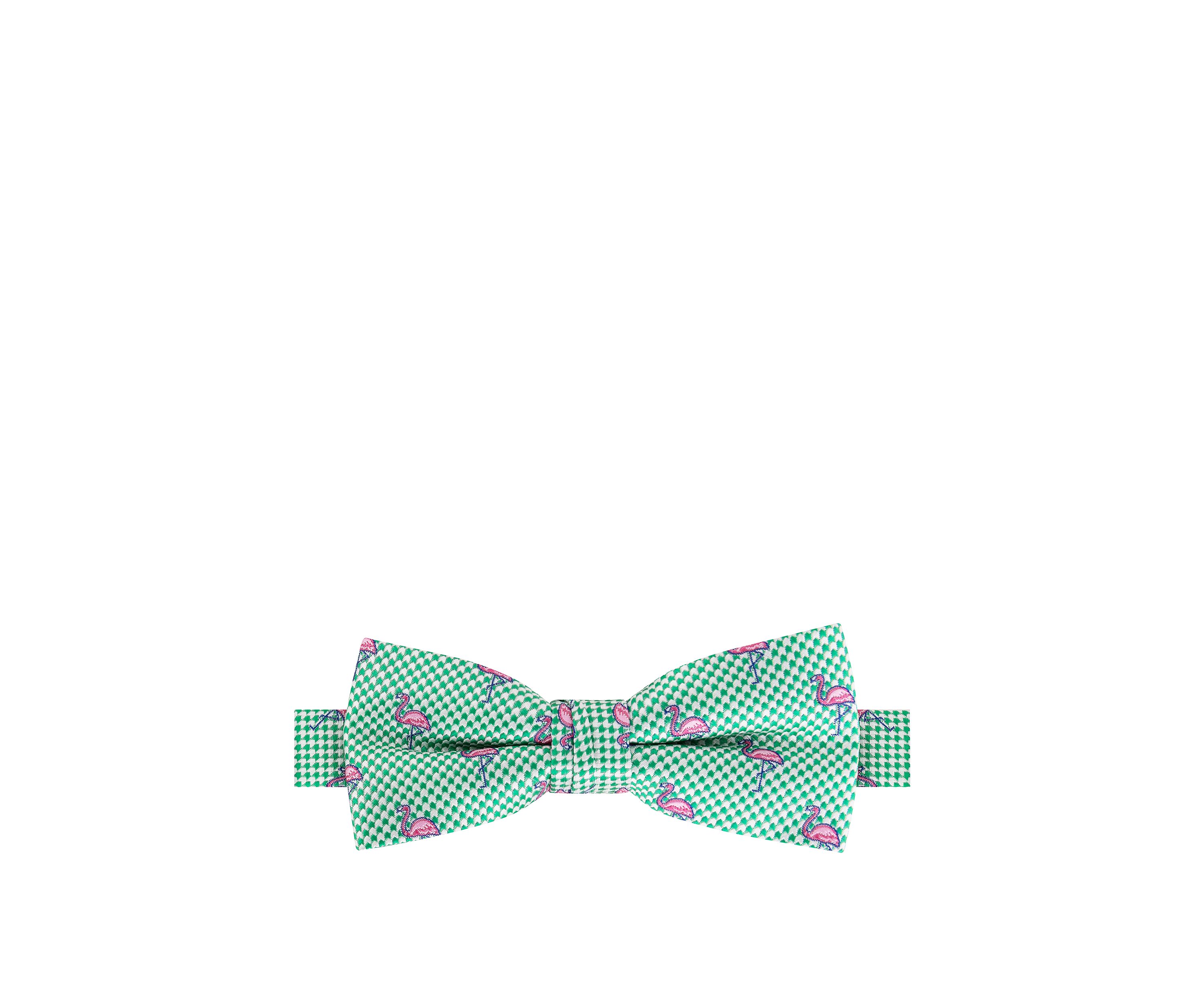 Boys Flamingo Bow Tie